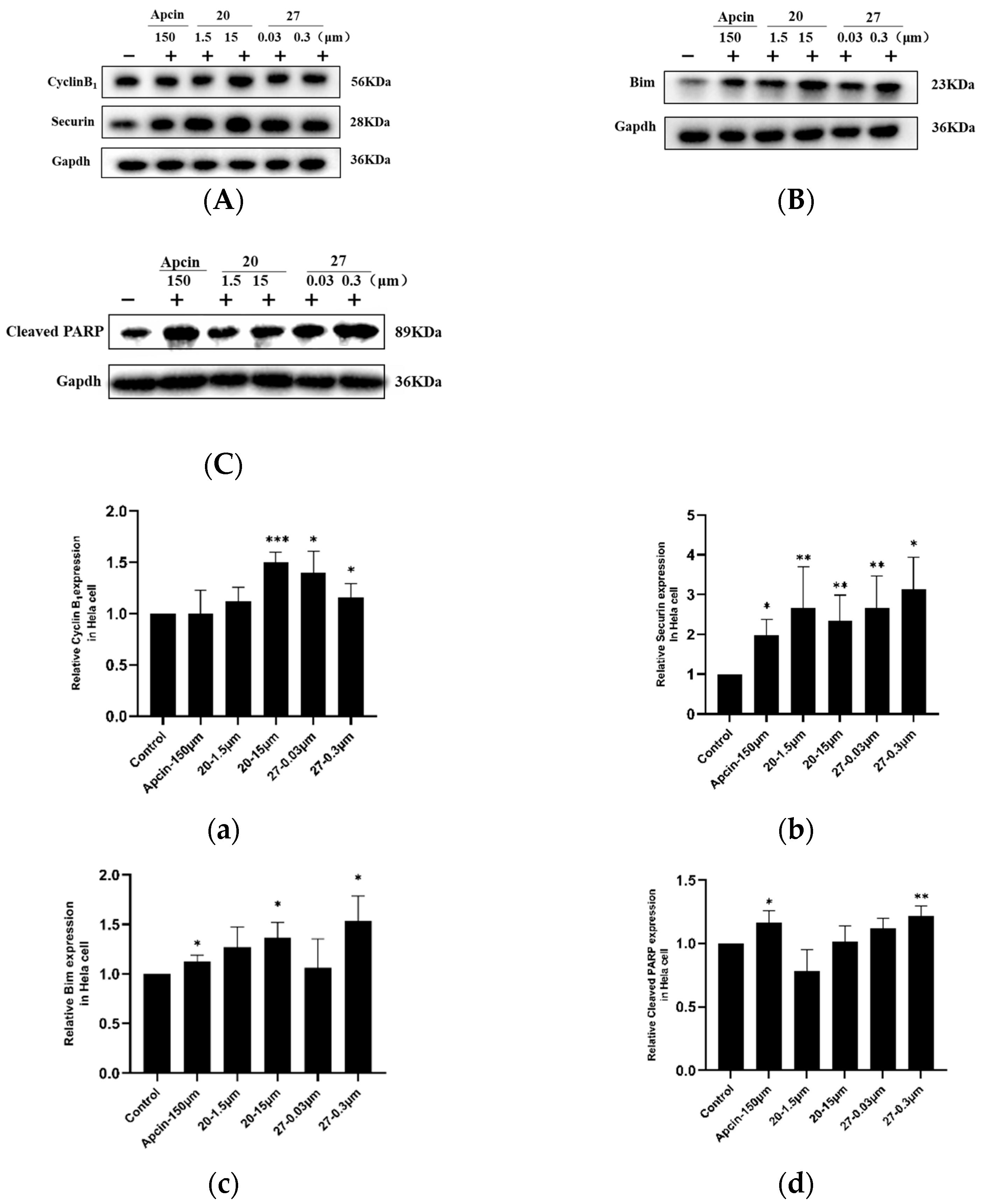 Pharmaceuticals 16 00304 g004