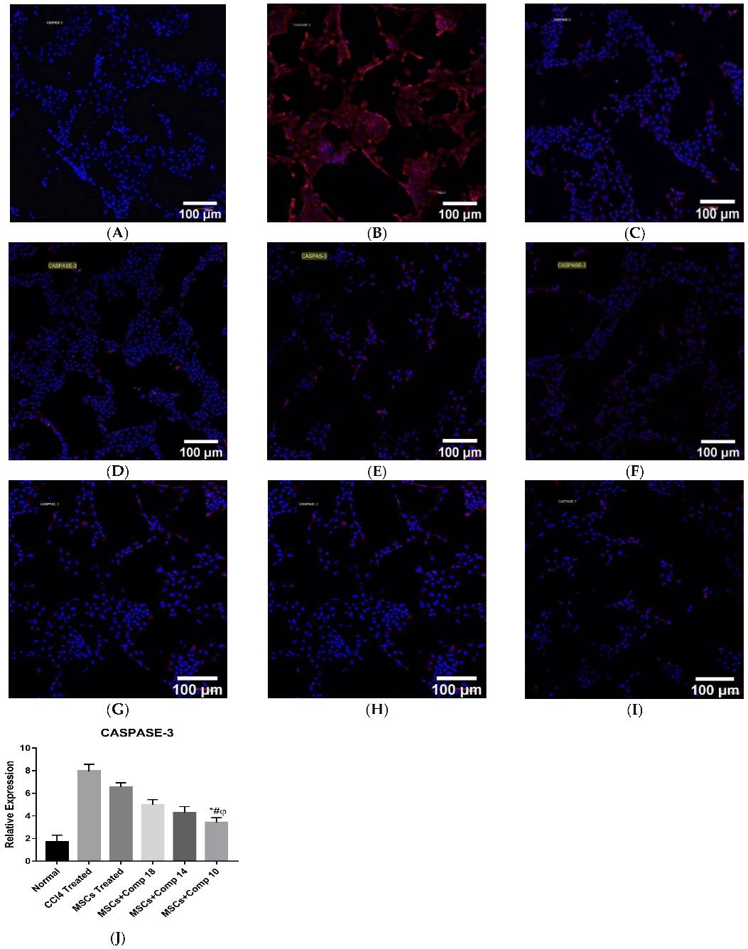 Pharmaceuticals 16 00306 g003