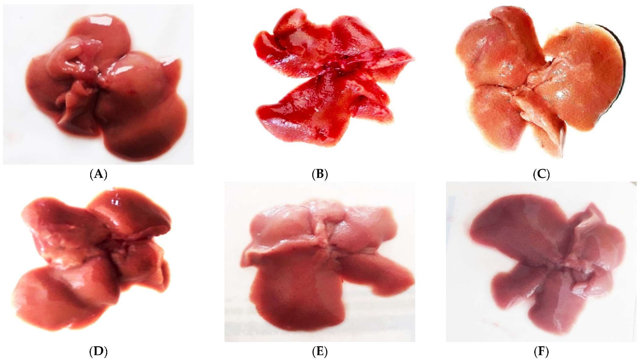 Pharmaceuticals 16 00306 g004