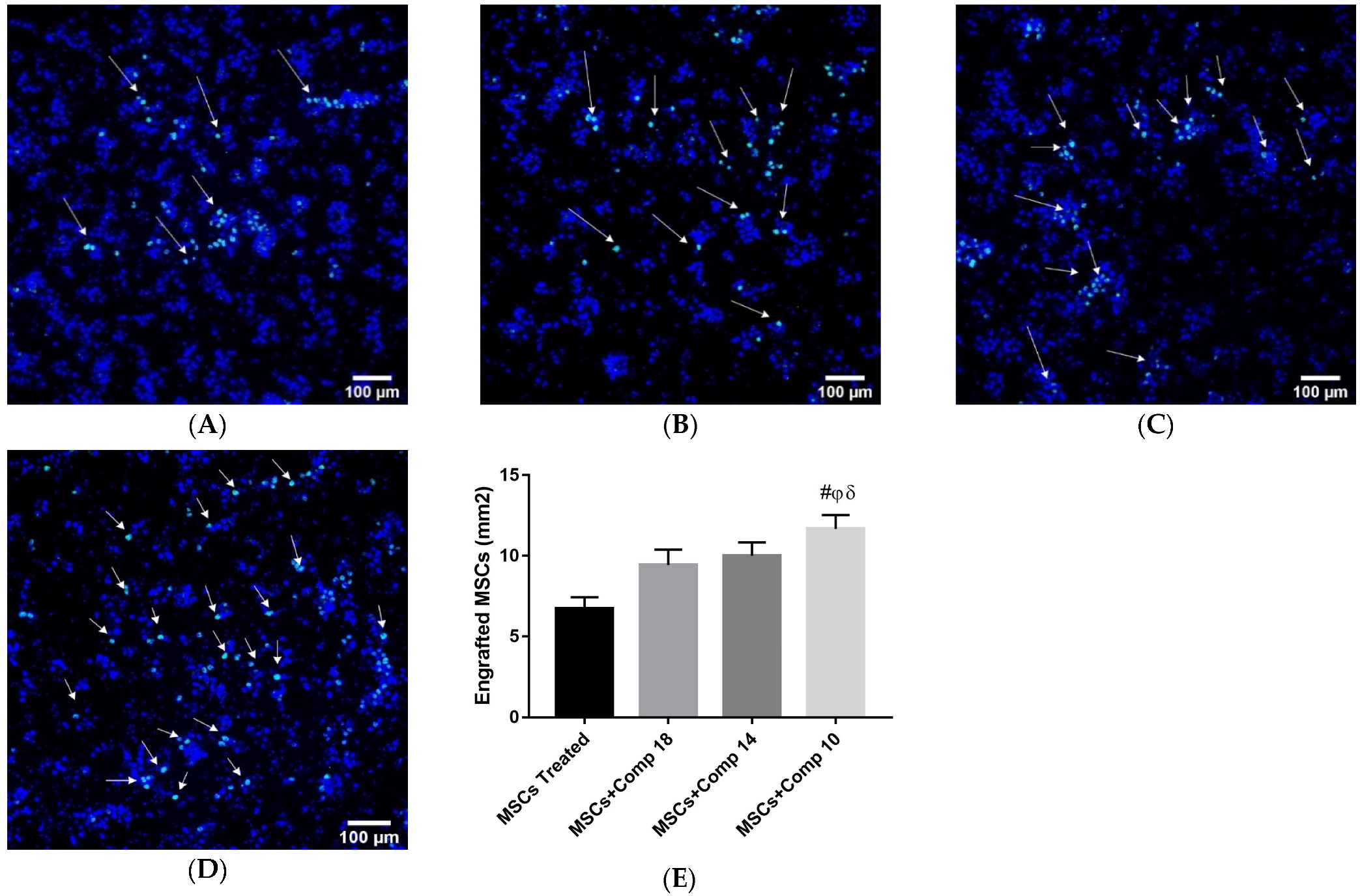 Pharmaceuticals 16 00306 g005