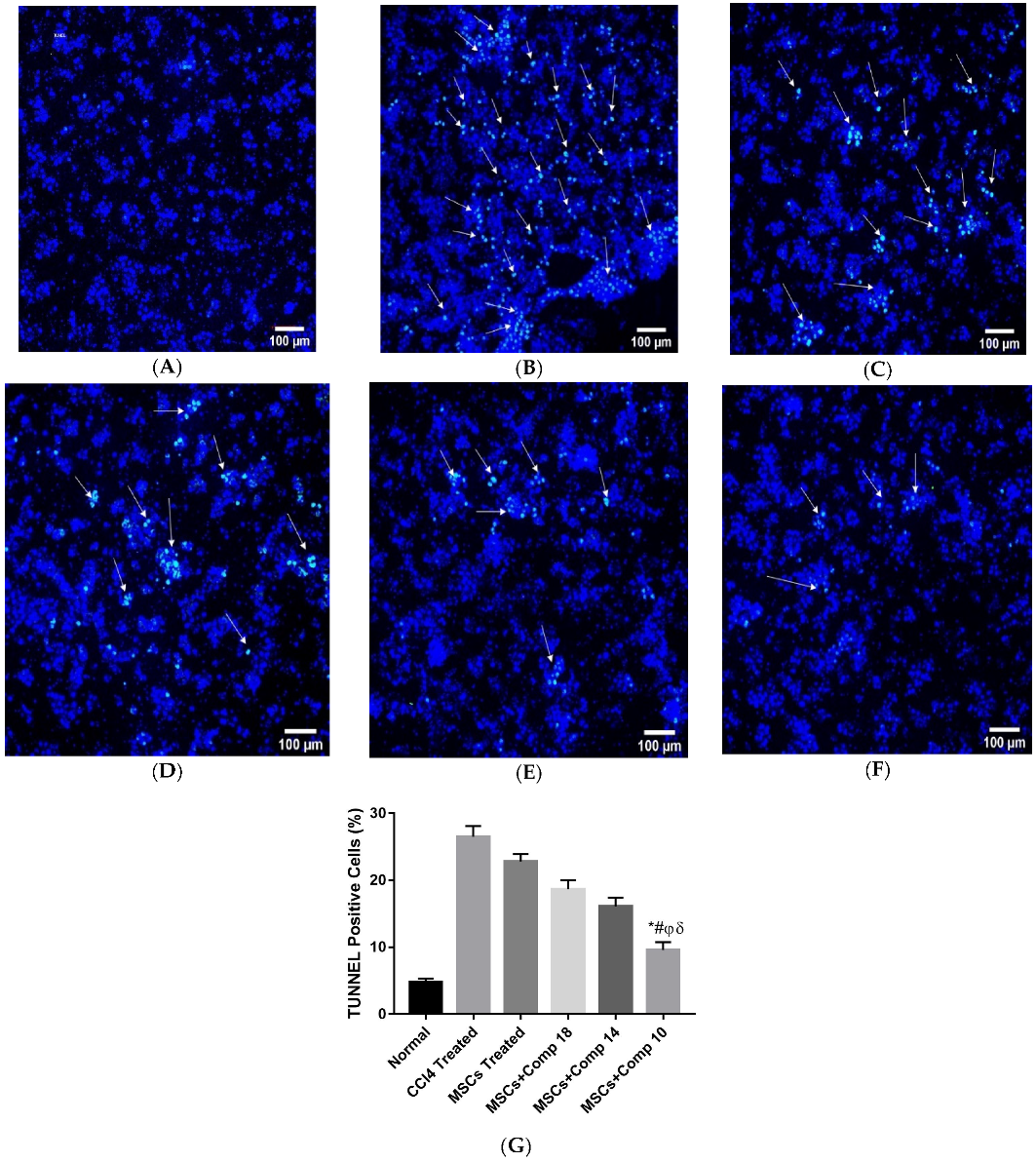 Pharmaceuticals 16 00306 g006