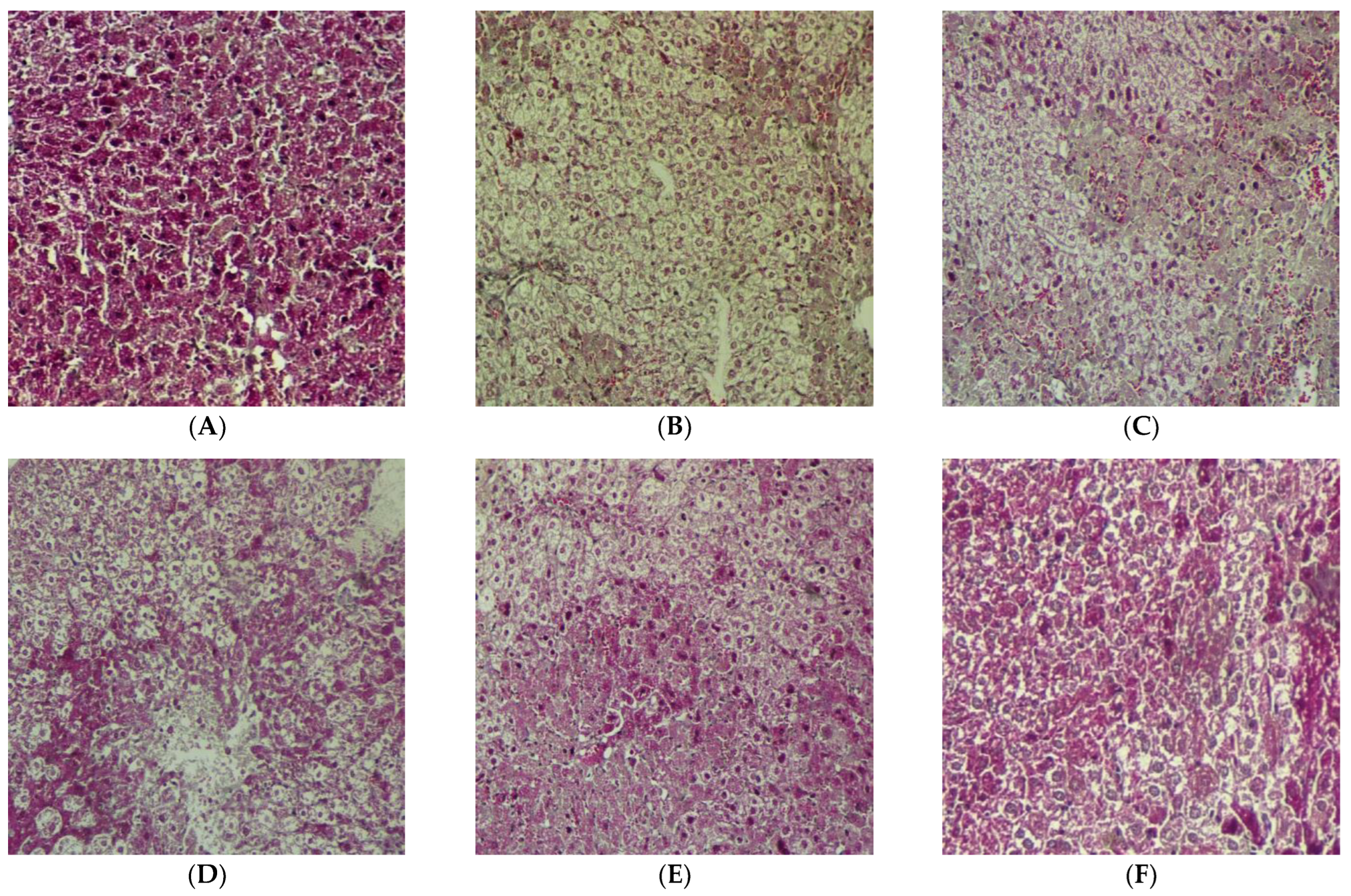 Pharmaceuticals 16 00306 g008