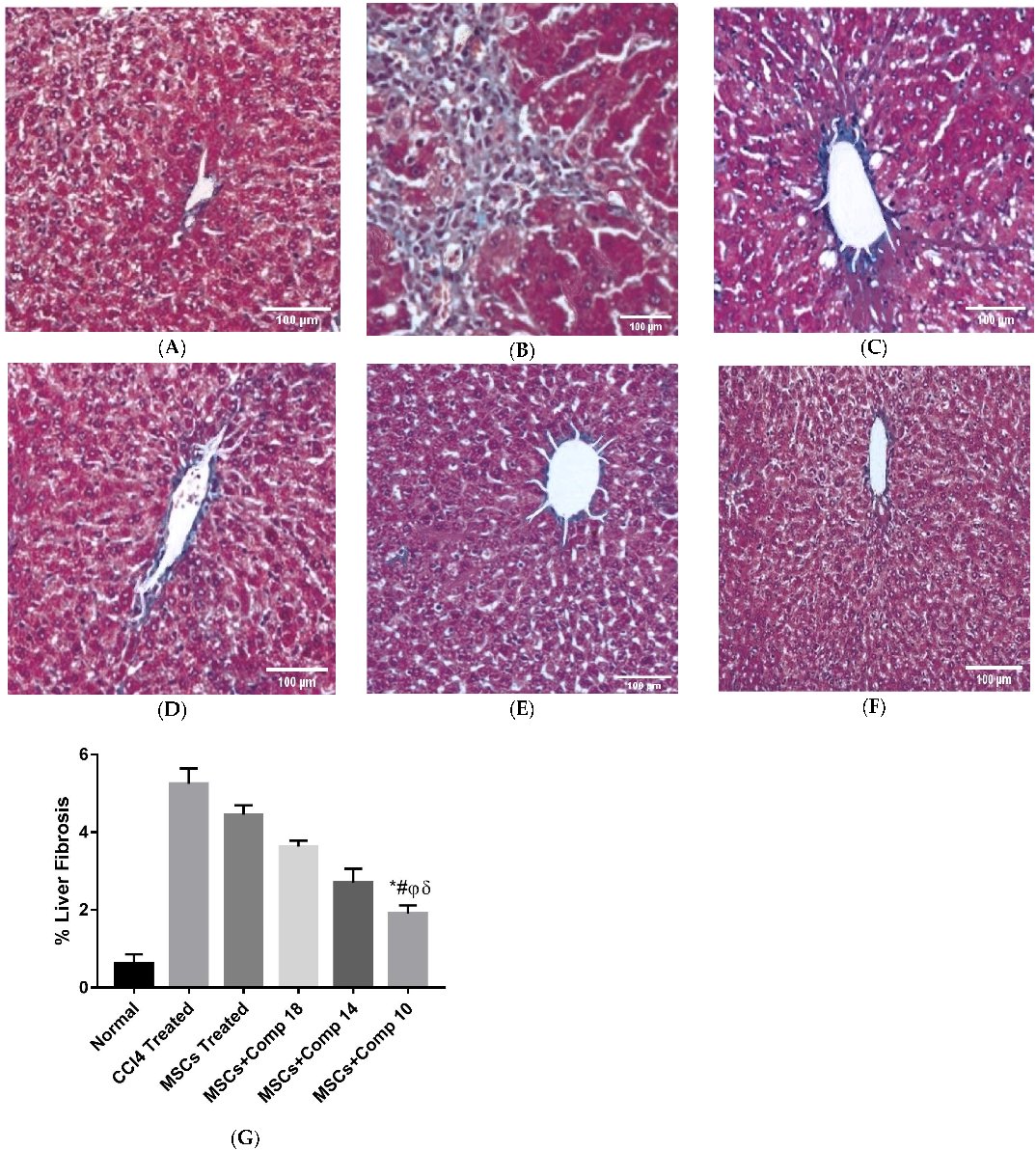 Pharmaceuticals 16 00306 g010