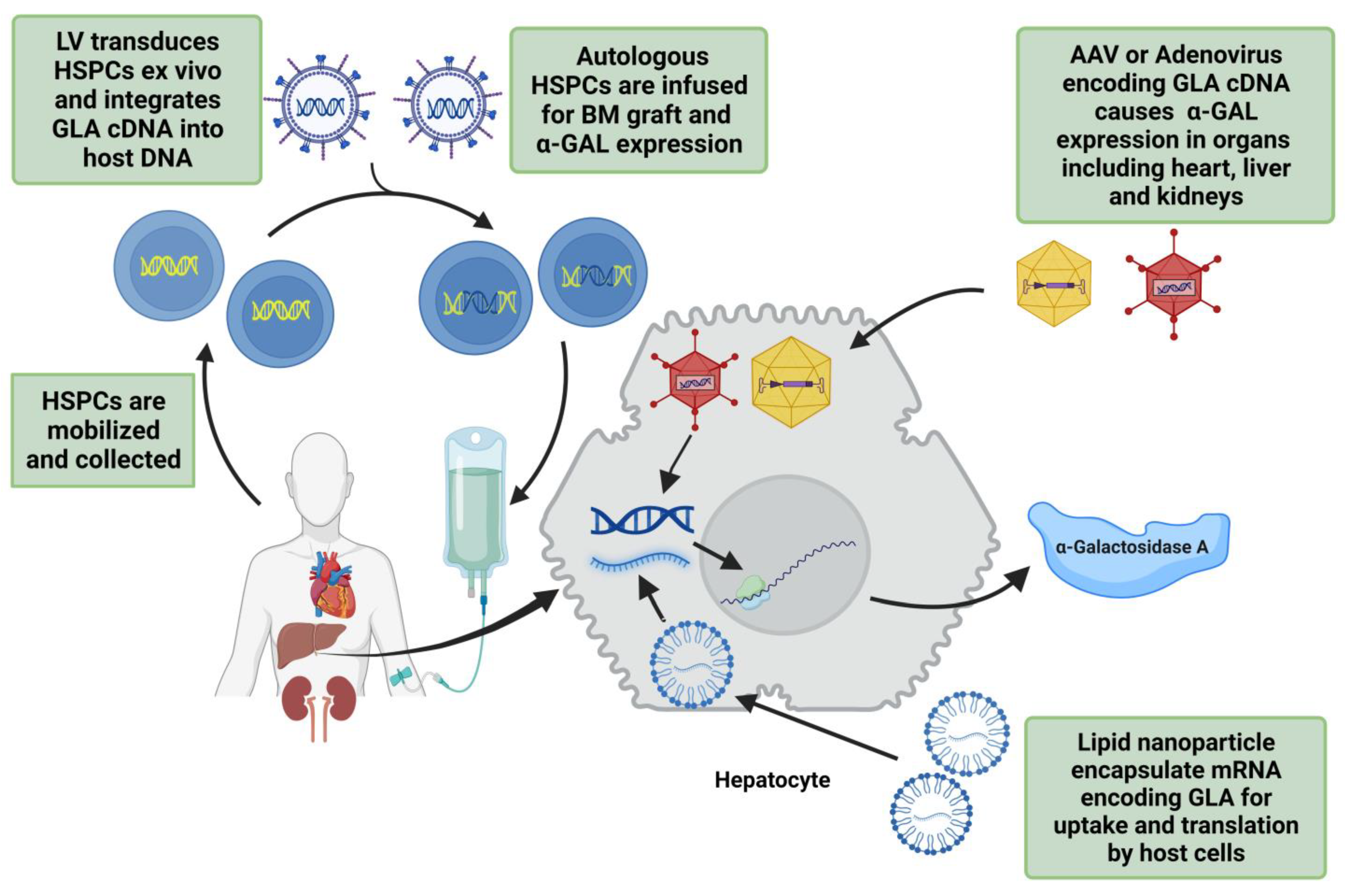 Pharmaceuticals 16 00320 g003
