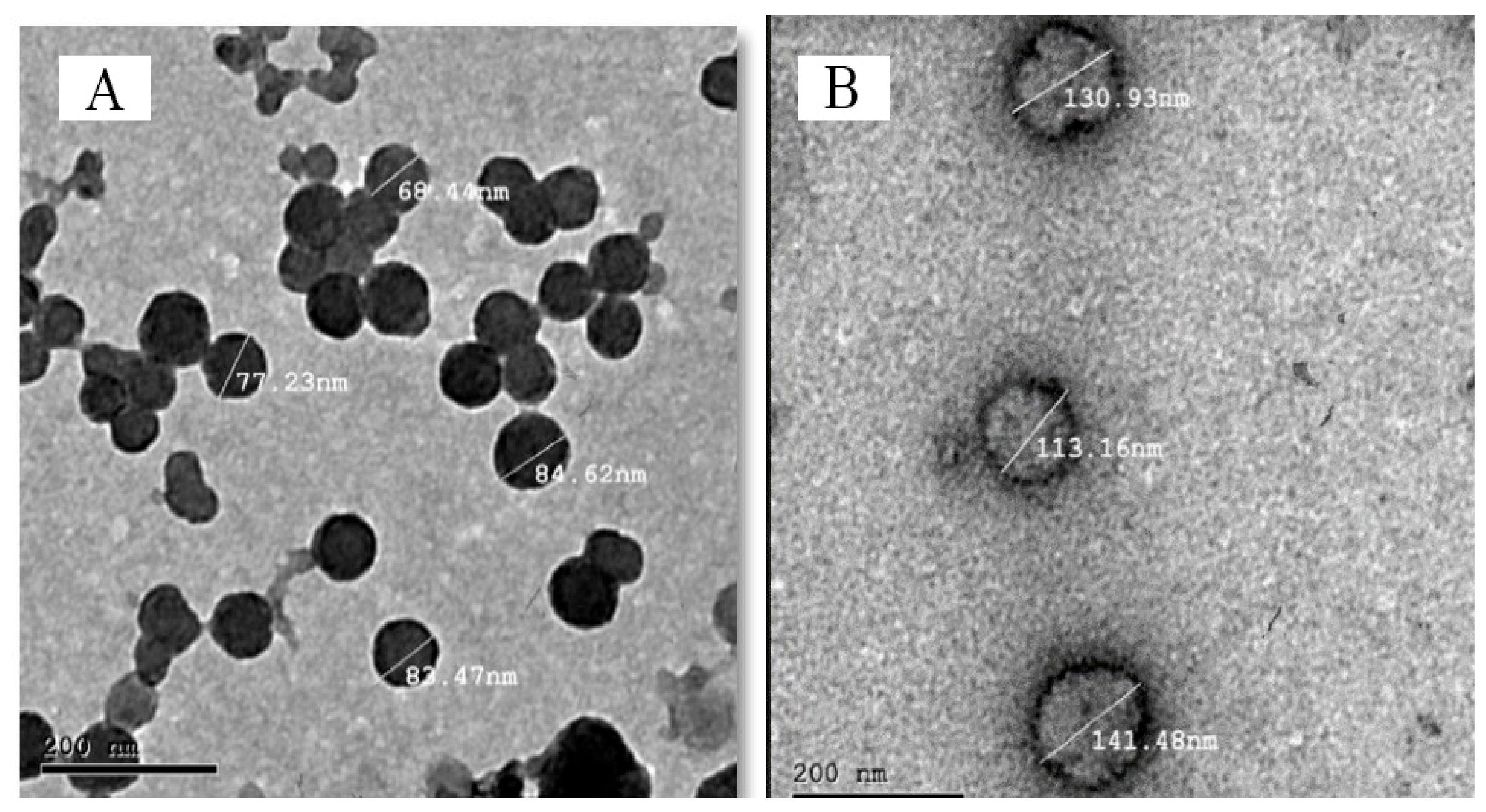 Pharmaceuticals 16 00326 g008