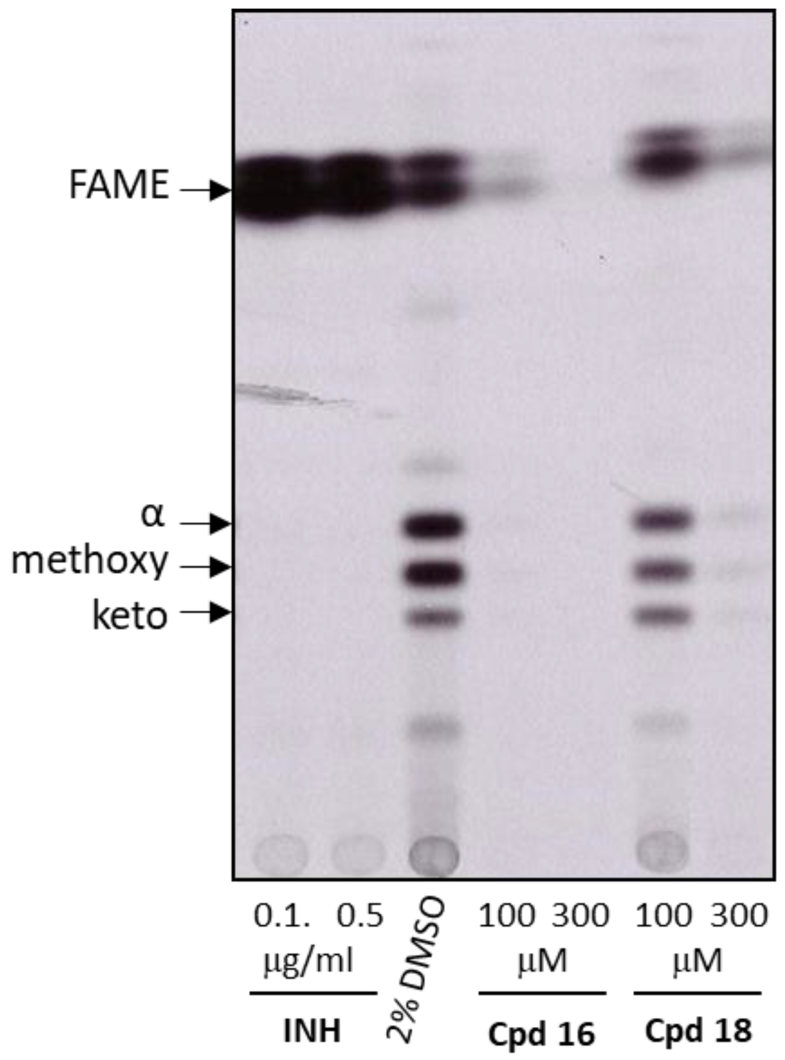 Pharmaceuticals 16 00335 g004