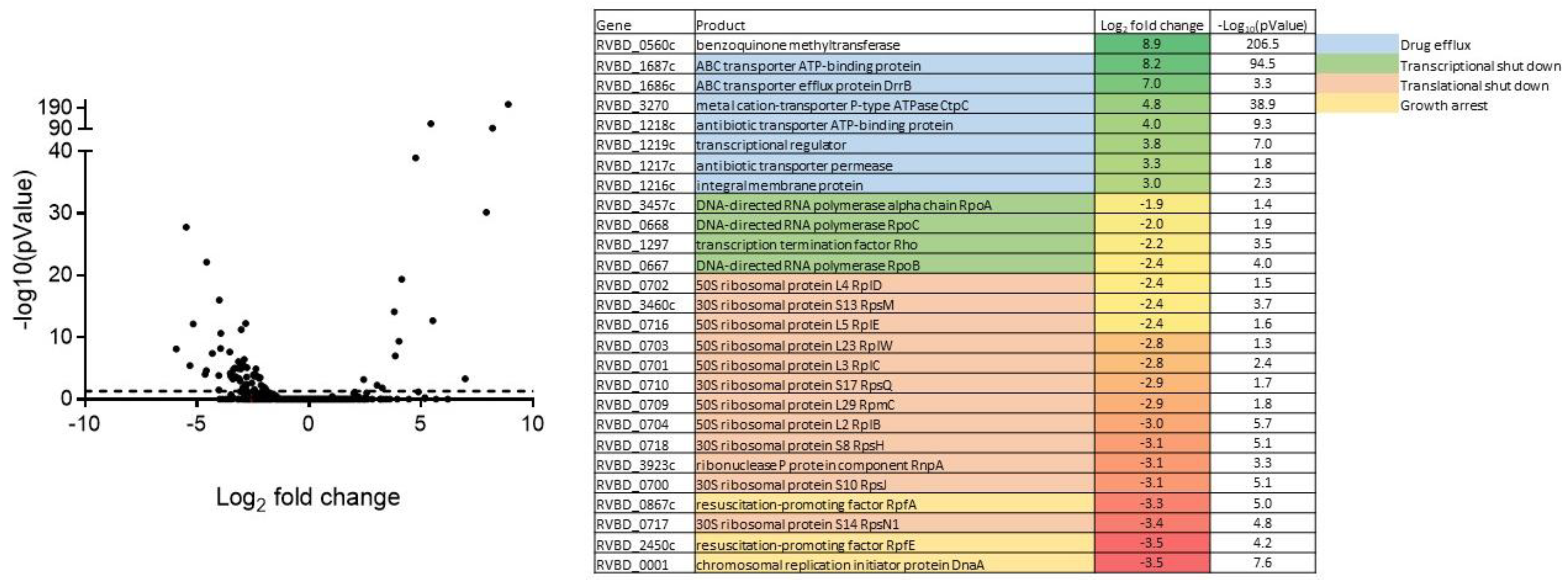 Pharmaceuticals 16 00335 g006