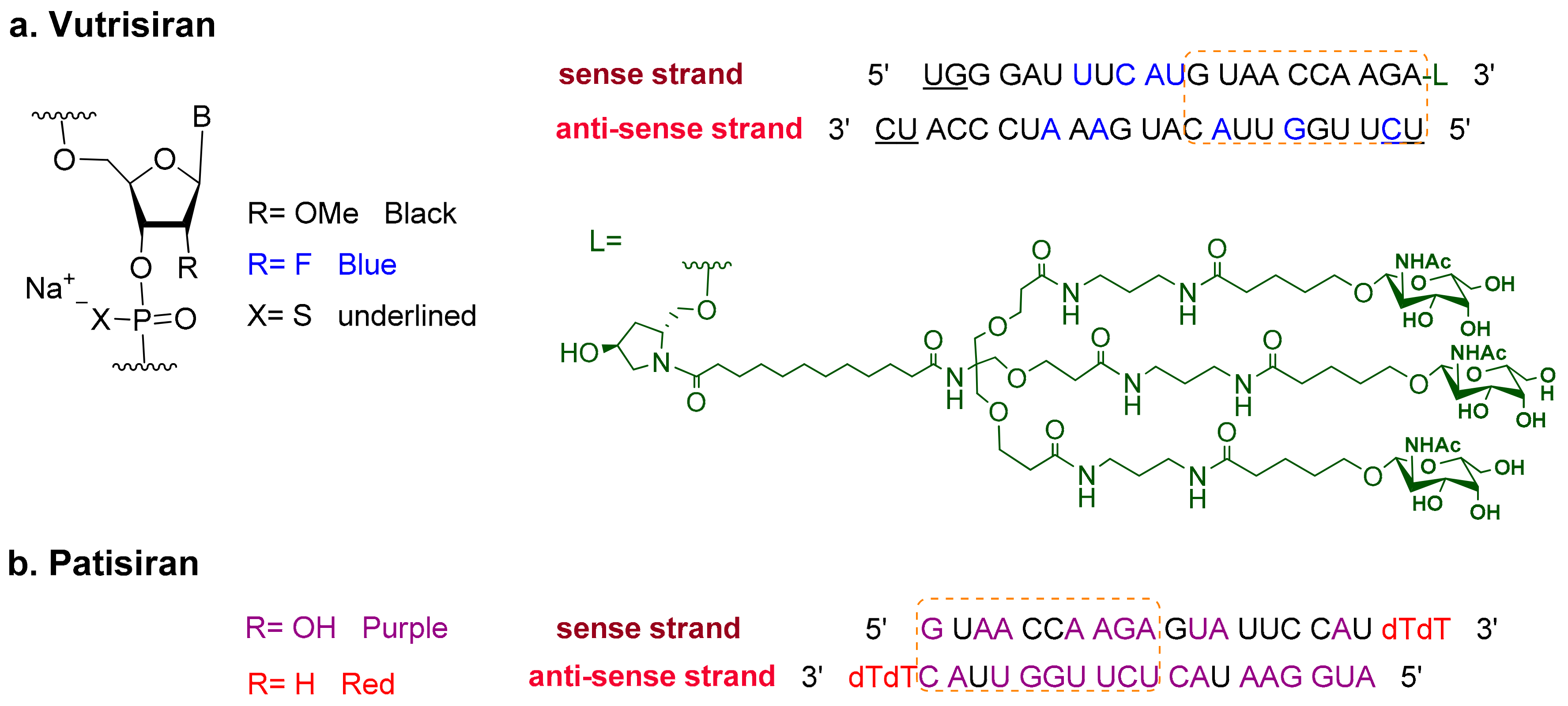 Pharmaceuticals 16 00336 g002