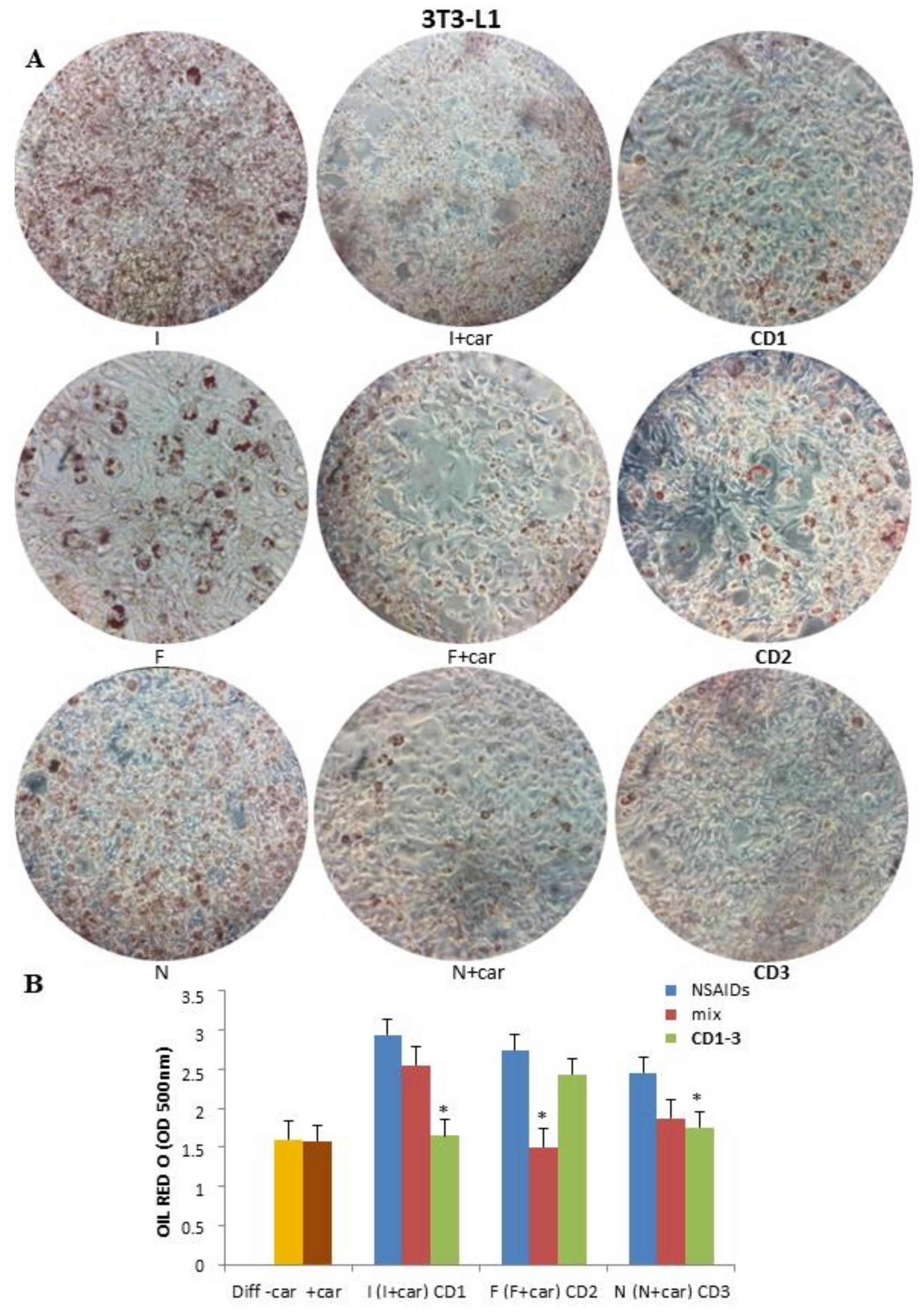 Pharmaceuticals 16 00340 g001