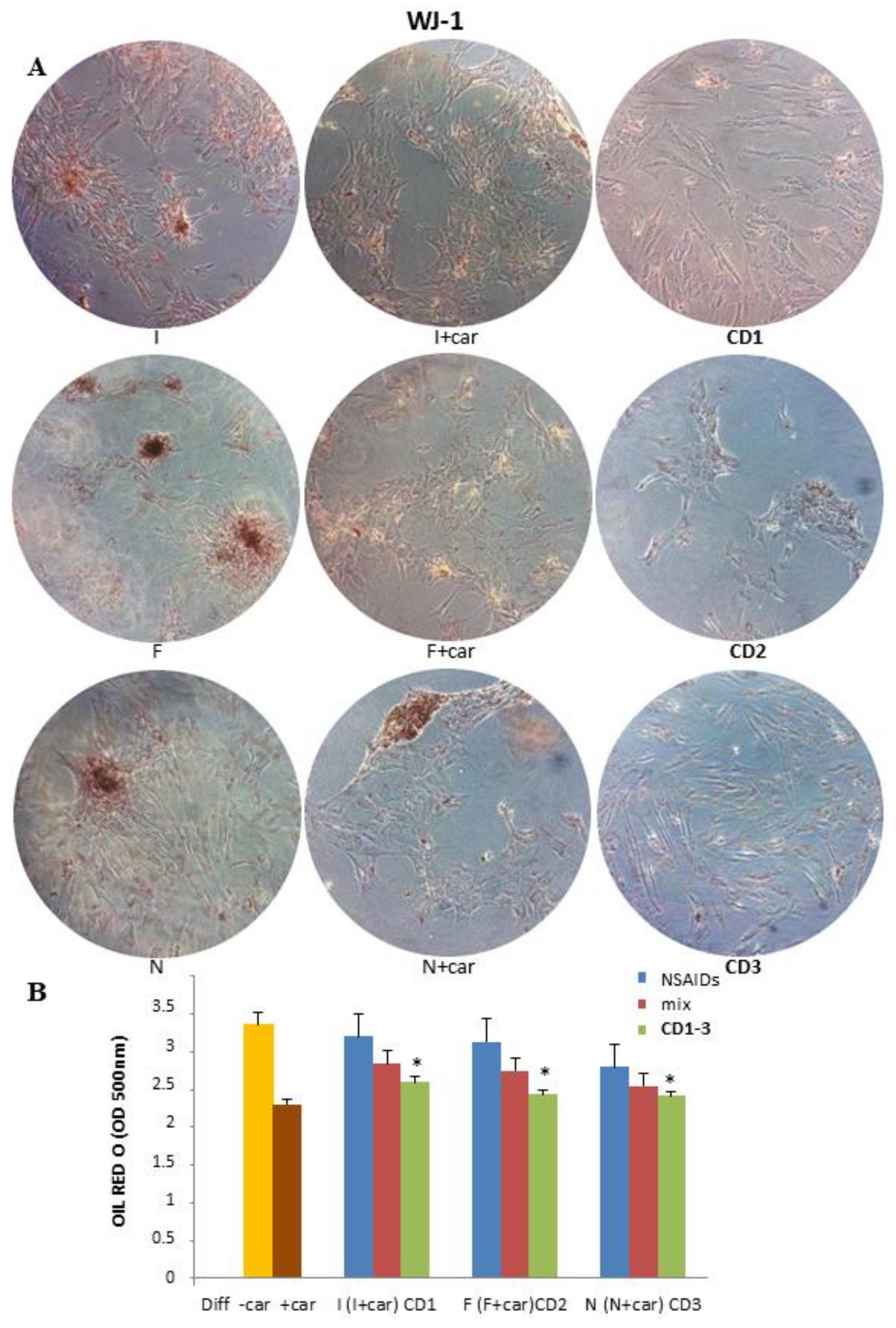Pharmaceuticals 16 00340 g002