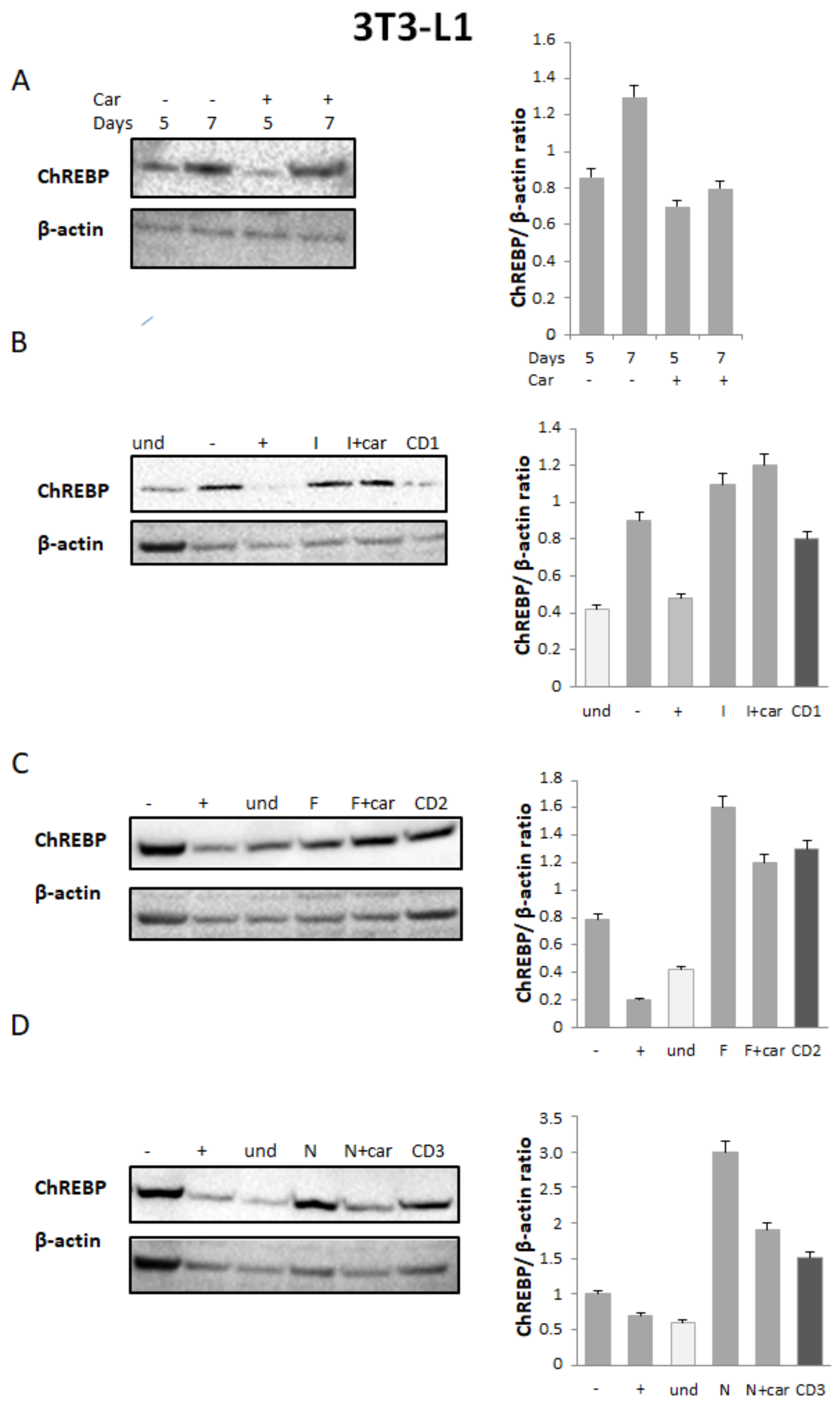 Pharmaceuticals 16 00340 g003