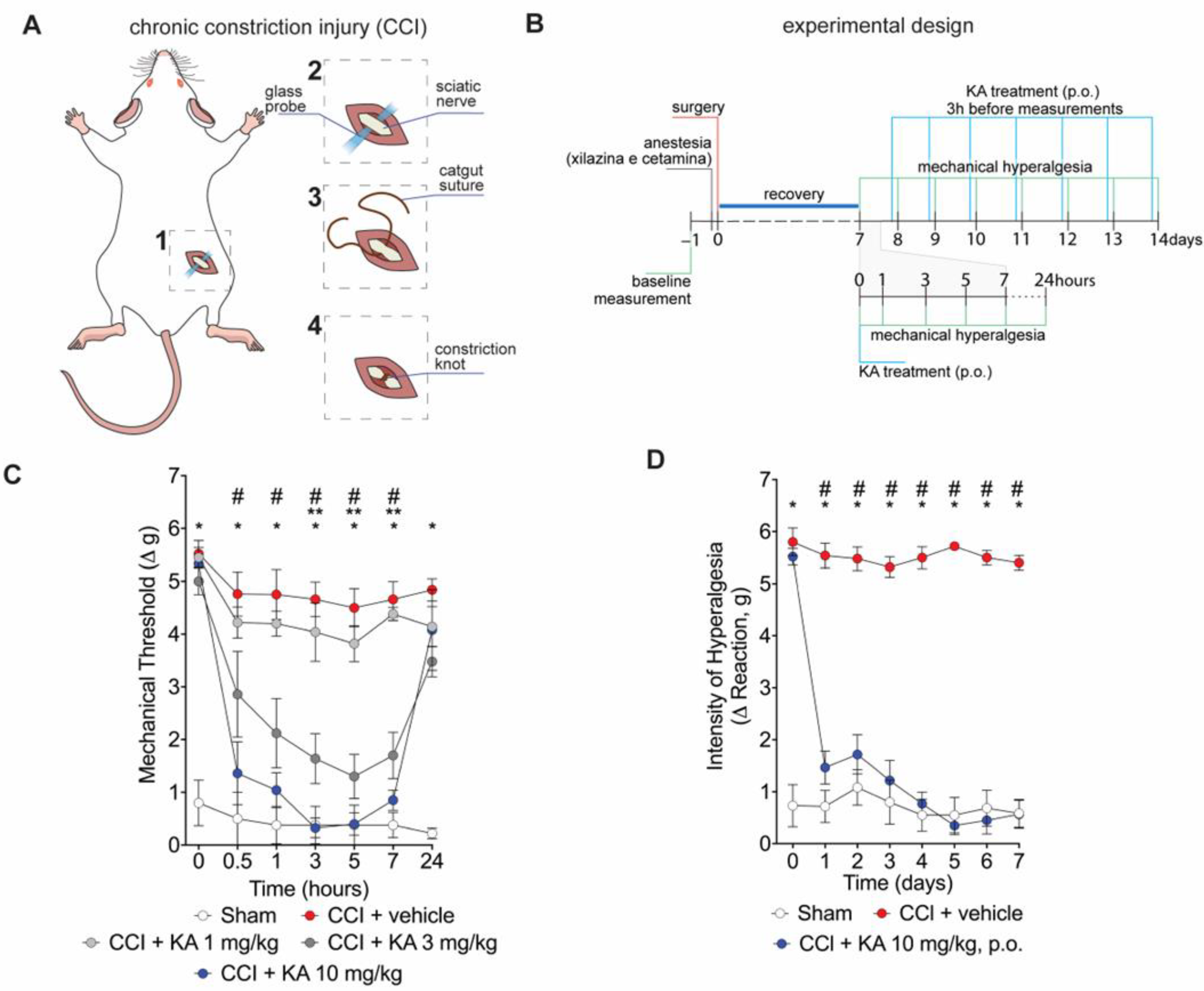 Pharmaceuticals 16 00343 g001
