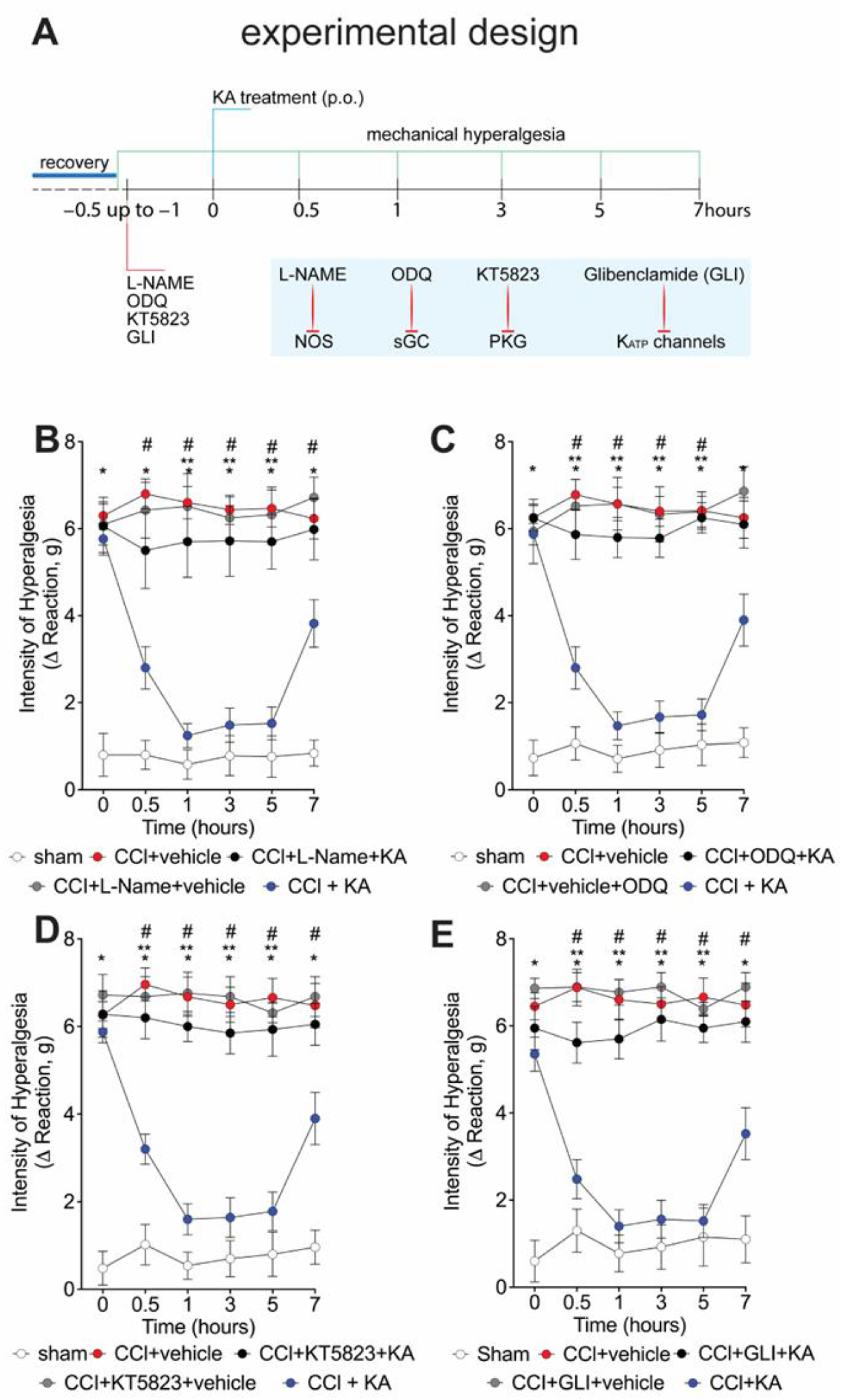 Pharmaceuticals 16 00343 g002