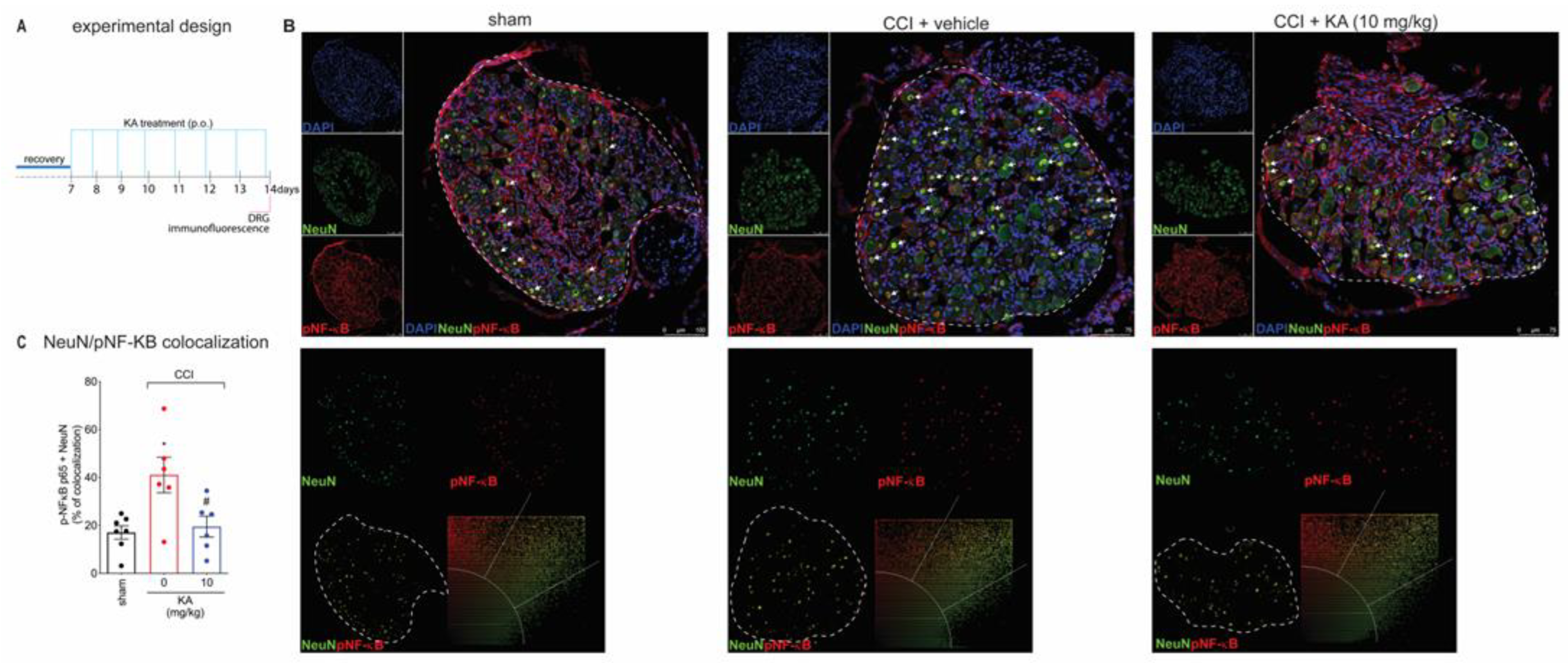 Pharmaceuticals 16 00343 g003
