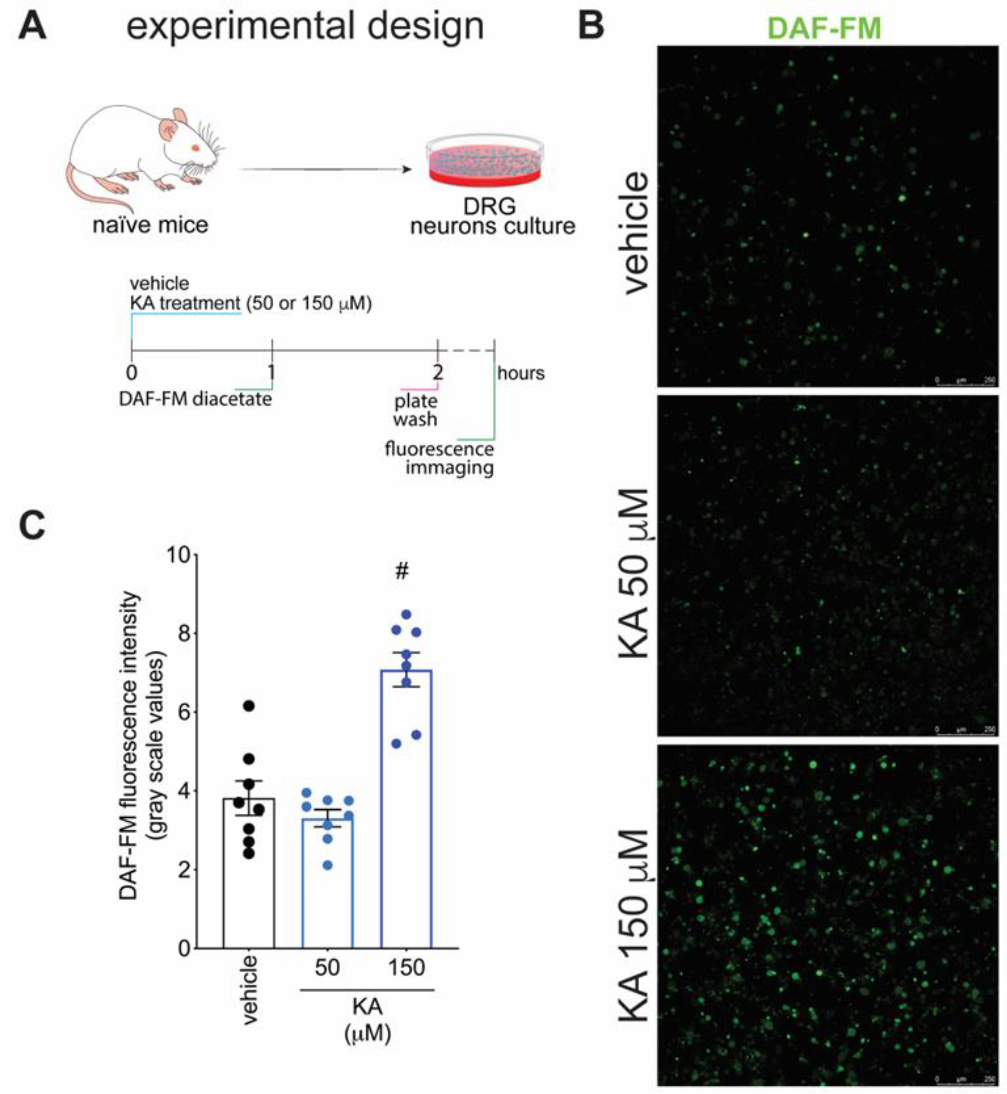 Pharmaceuticals 16 00343 g005