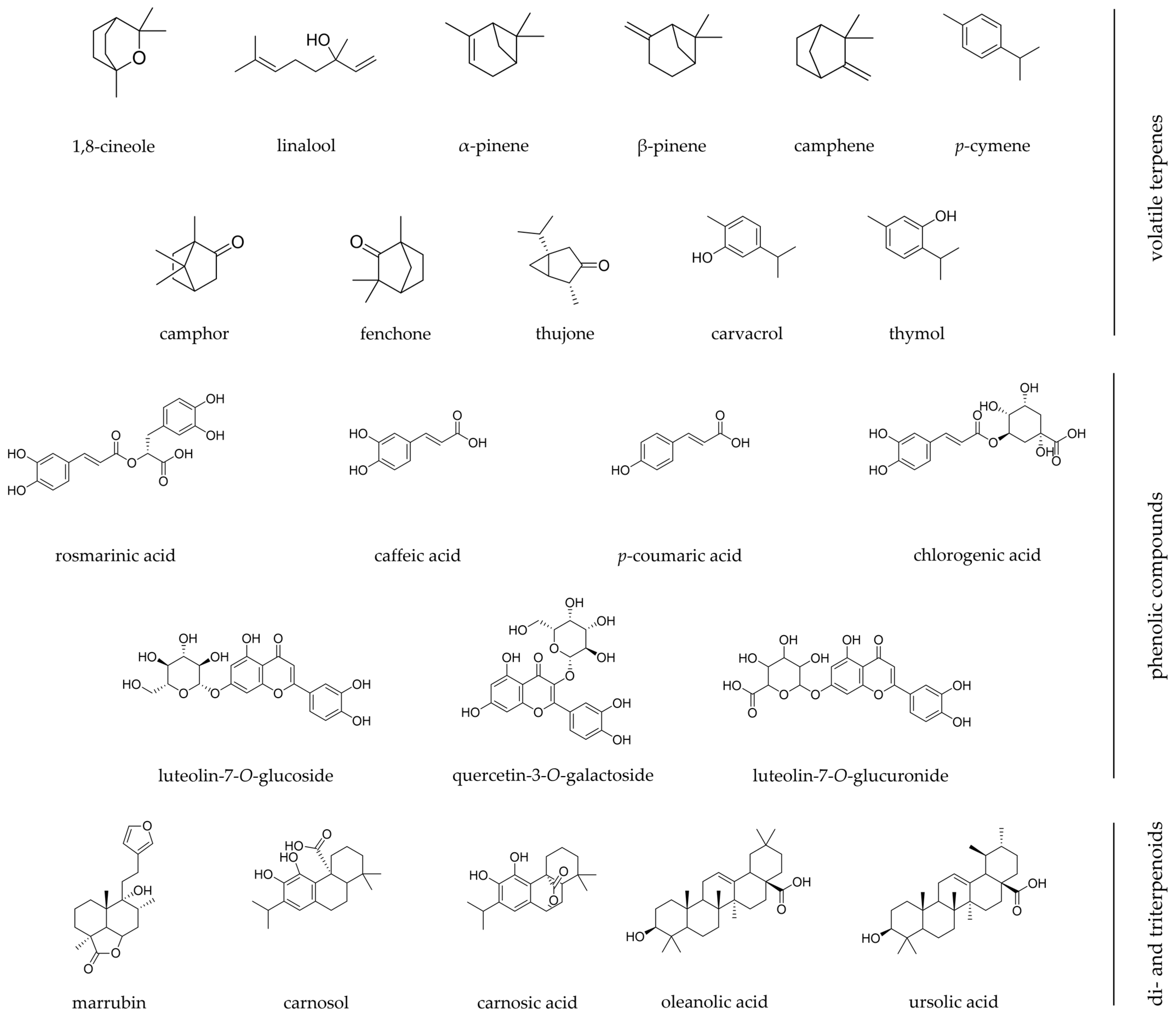 Pharmaceuticals 16 00347 g002