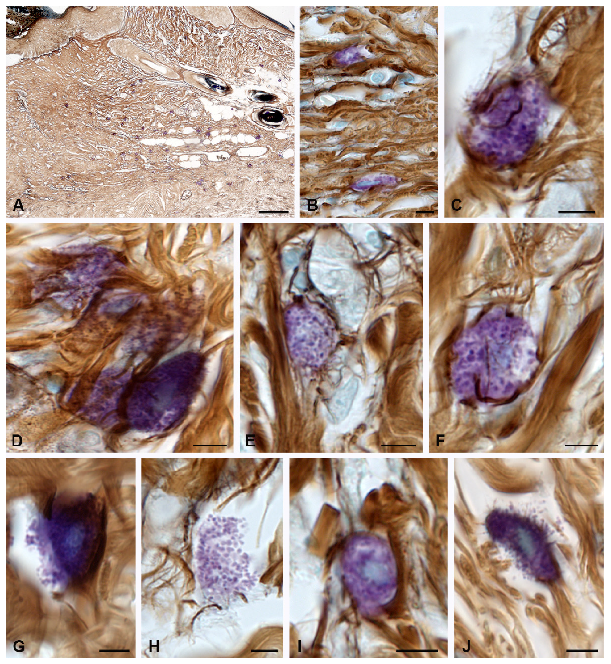 Pharmaceuticals 16 00348 g002