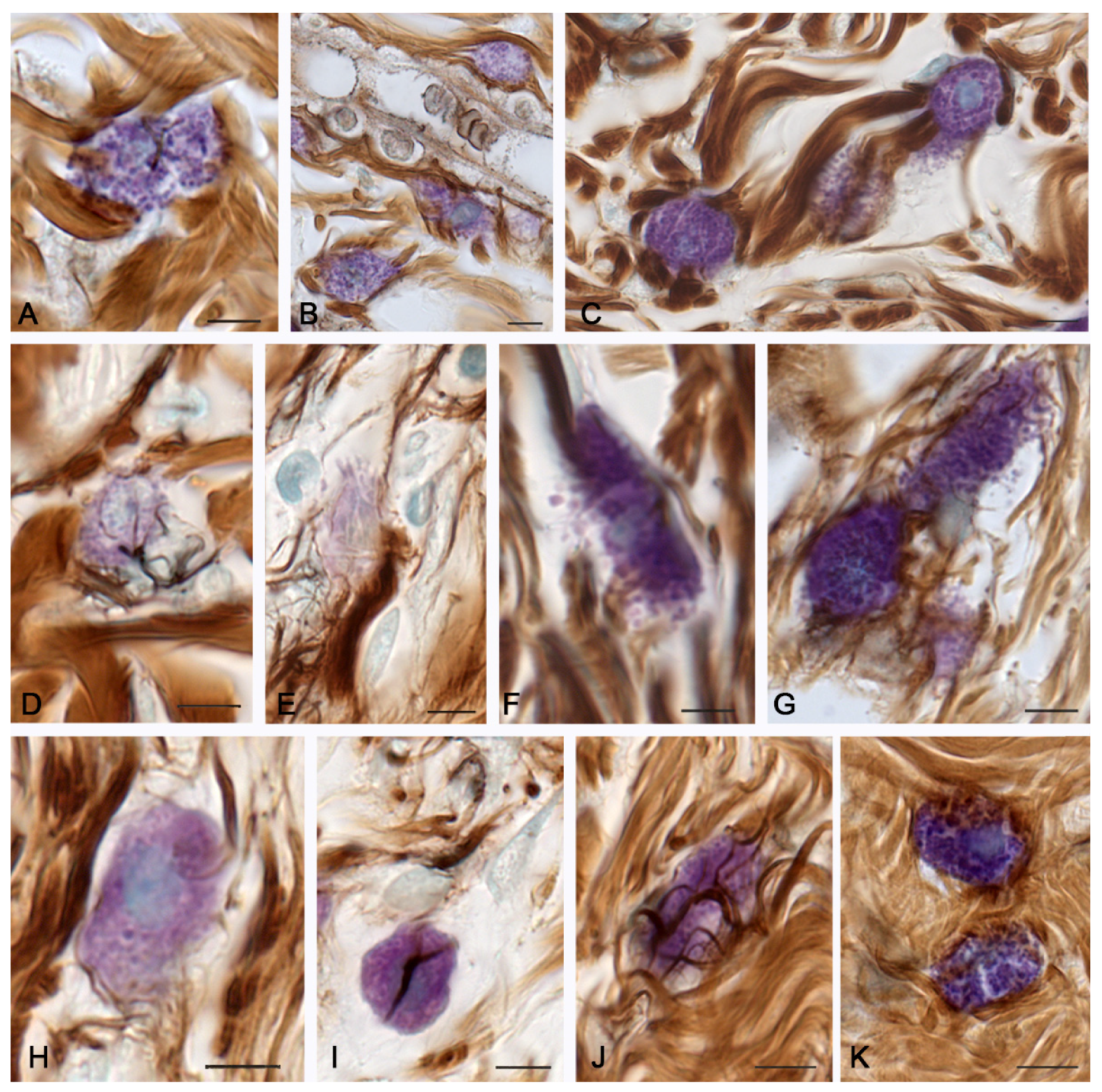 Pharmaceuticals 16 00348 g004