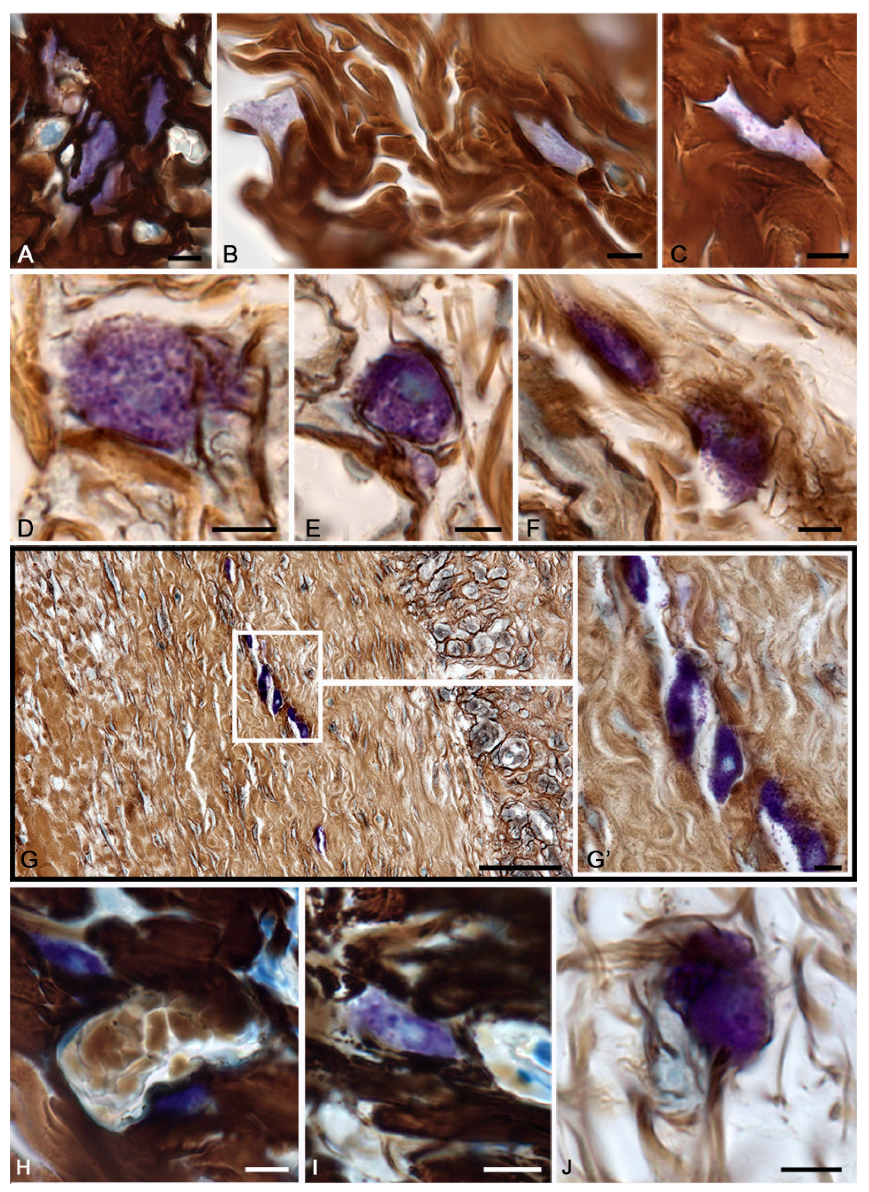 Pharmaceuticals 16 00348 g005