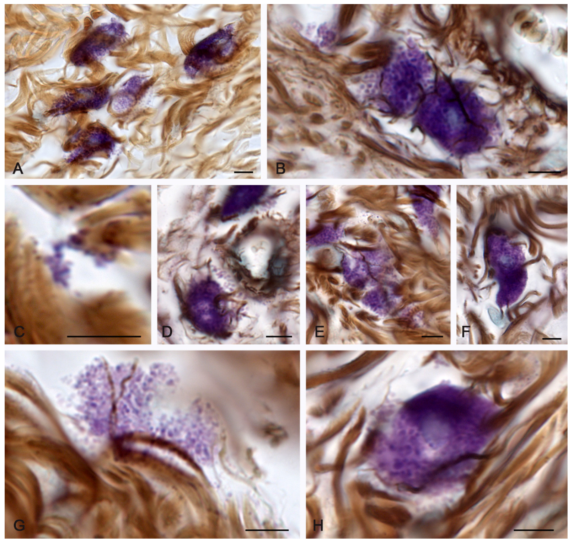 Pharmaceuticals 16 00348 g006