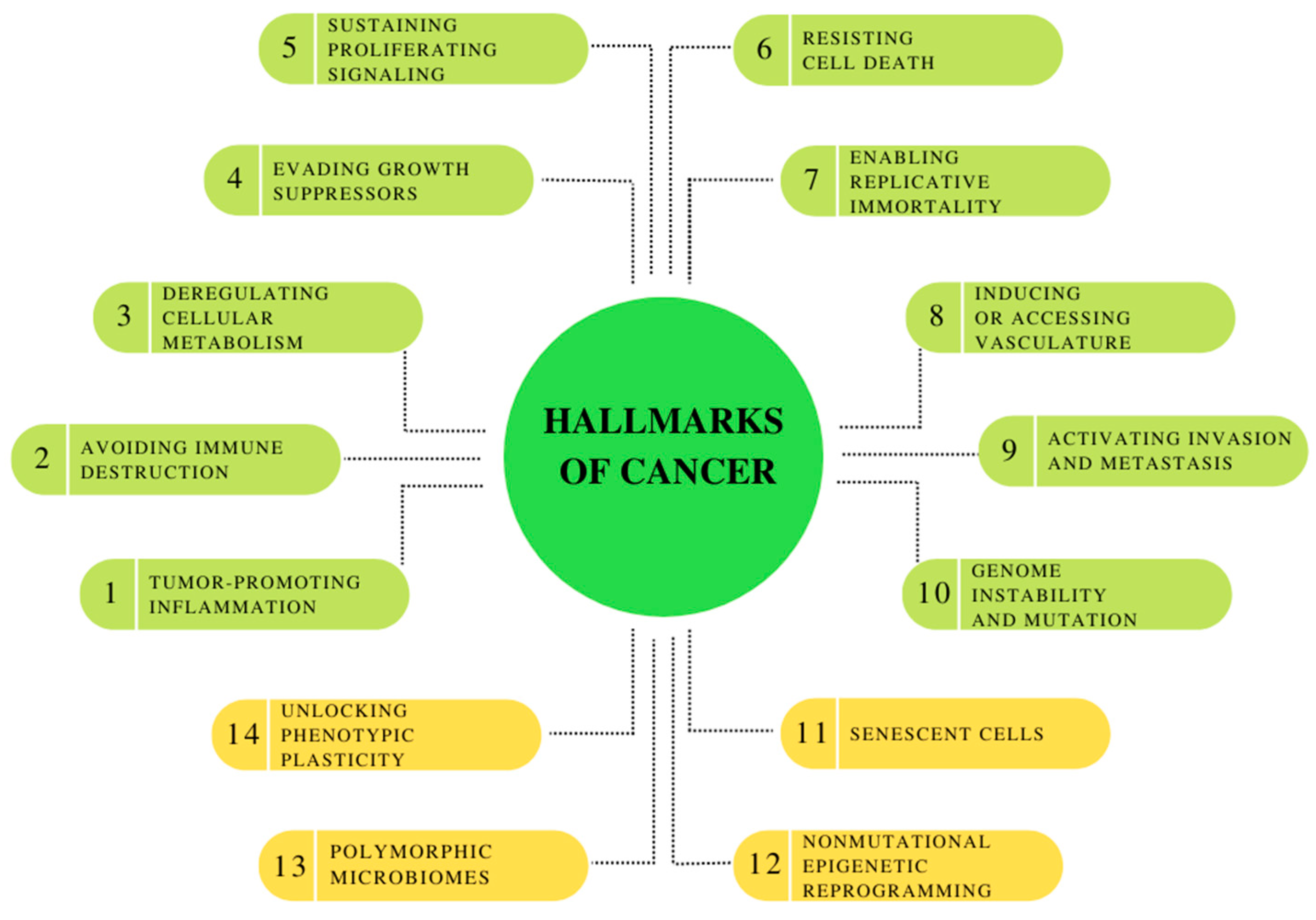 Pharmaceuticals 16 00366 g001