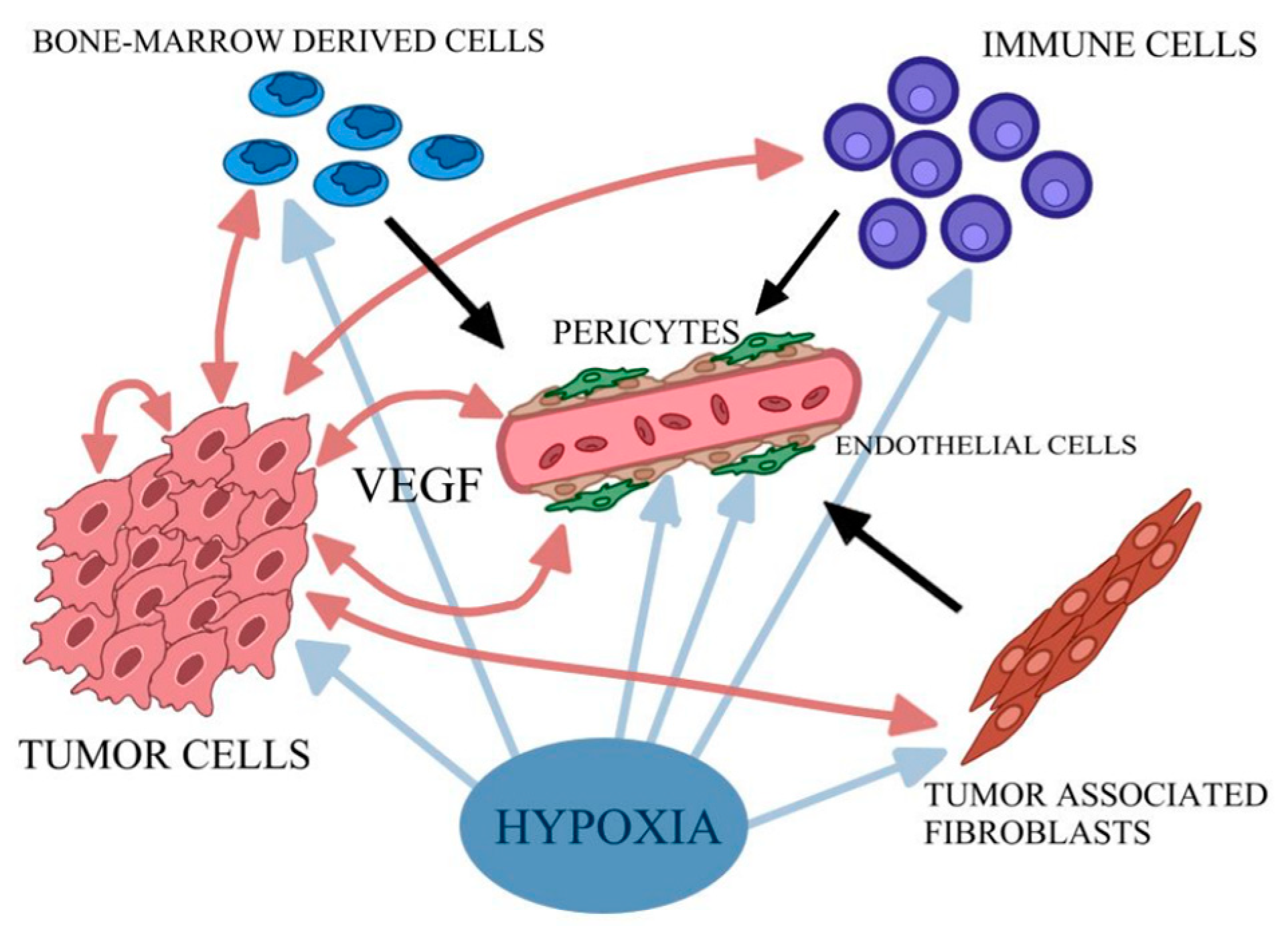Pharmaceuticals 16 00366 g002