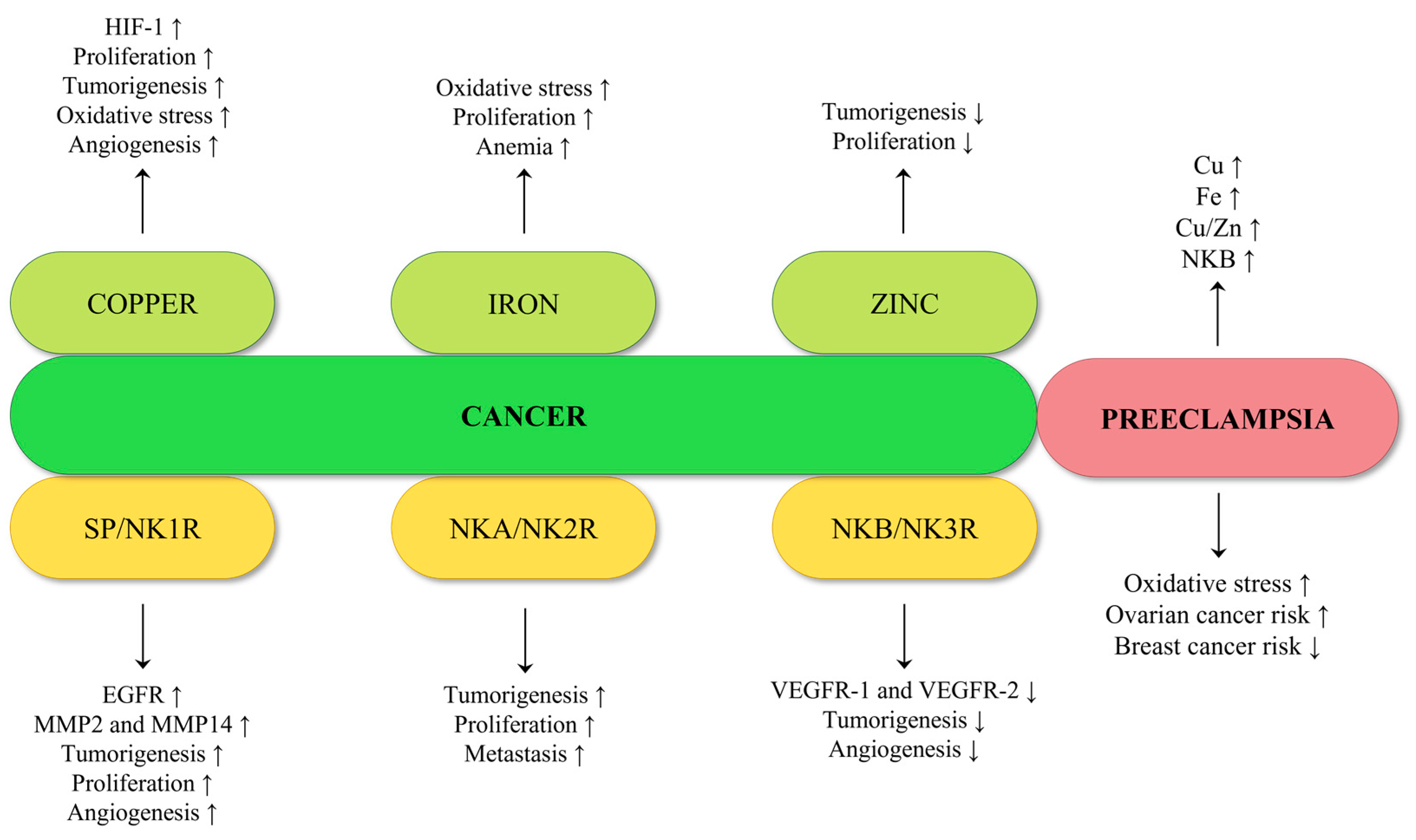 Pharmaceuticals 16 00366 g008