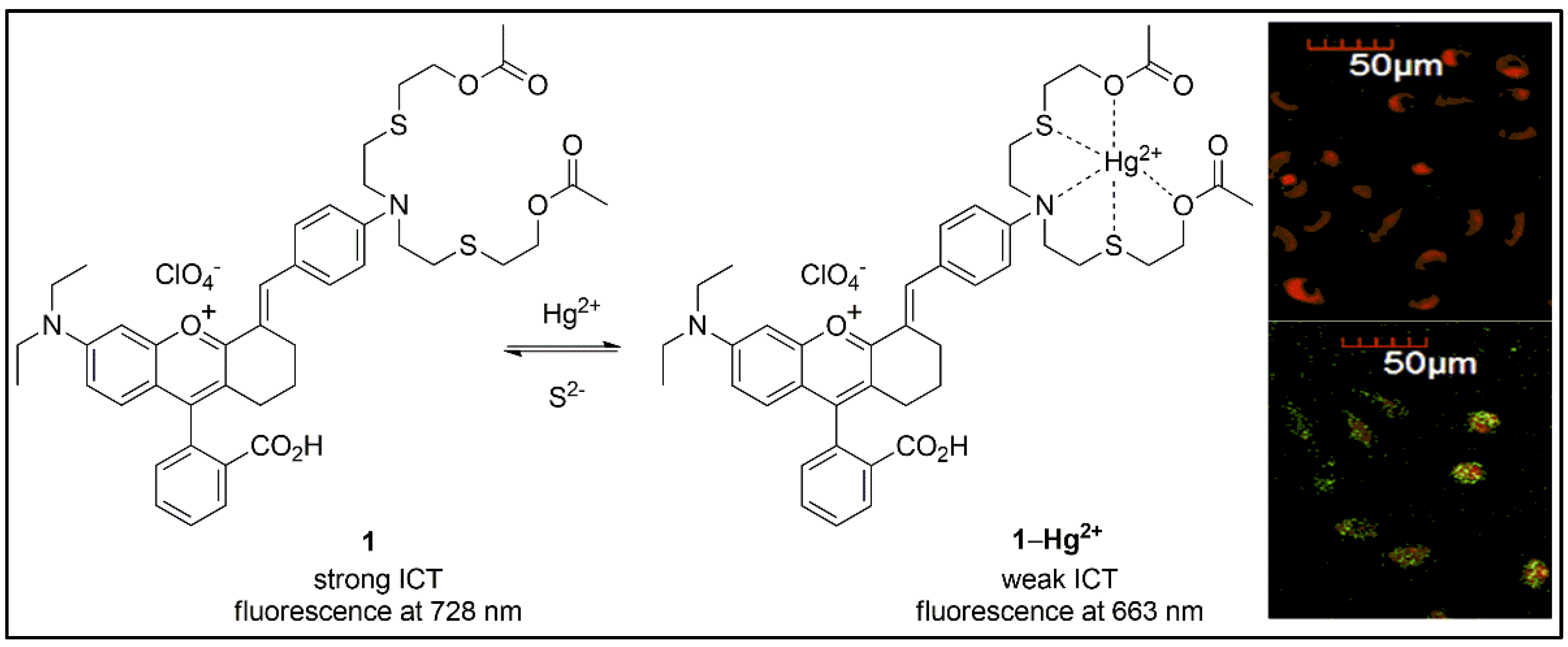 Pharmaceuticals 16 00381 g002