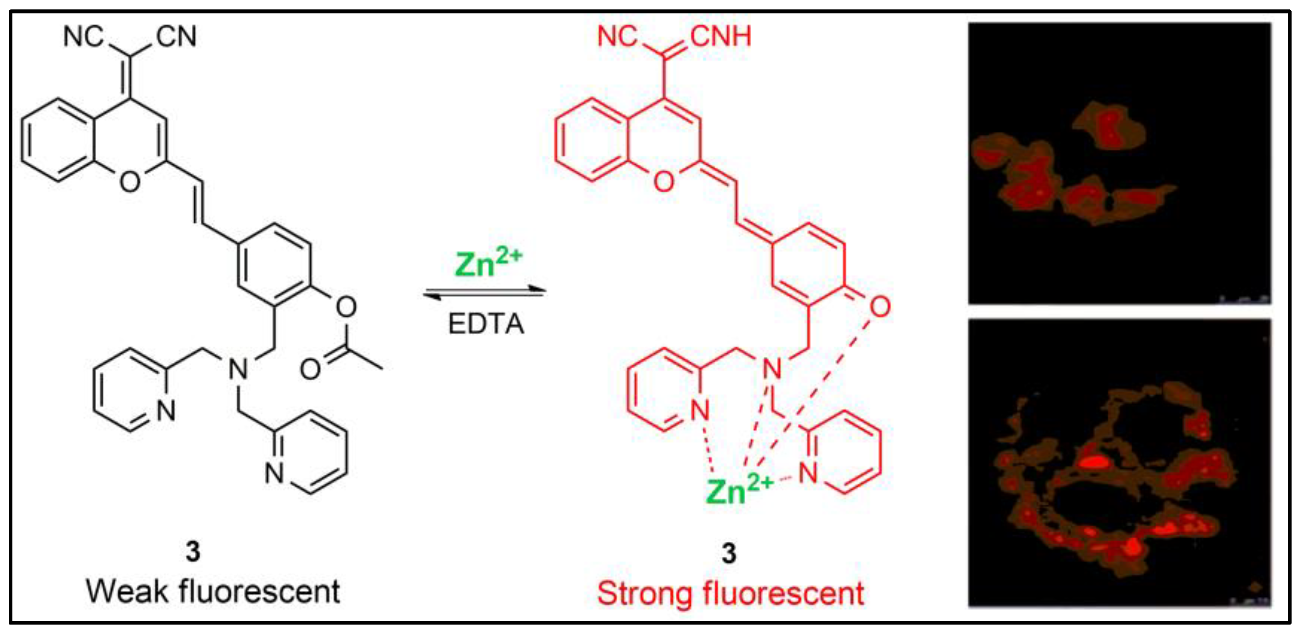 Pharmaceuticals 16 00381 g004