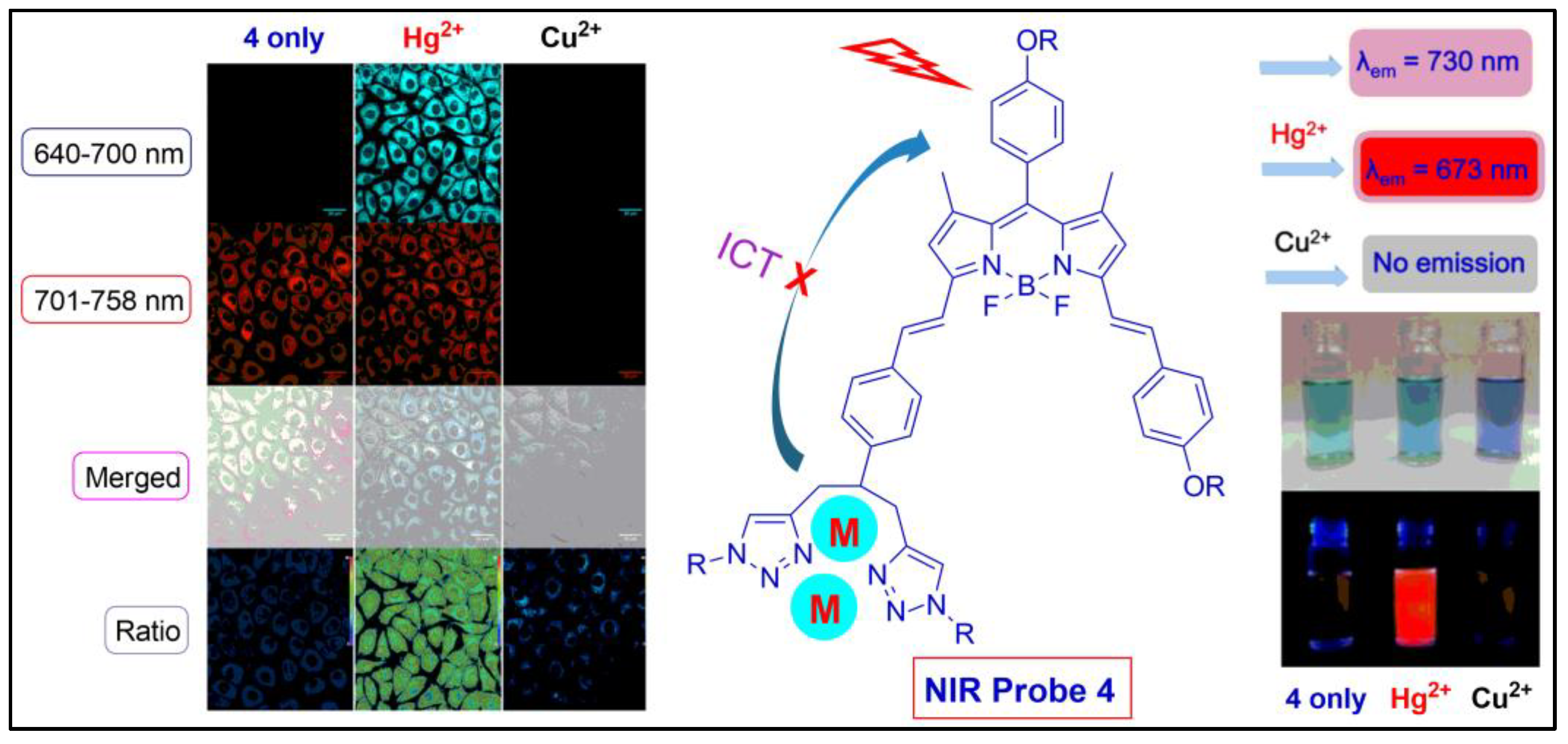Pharmaceuticals 16 00381 g005