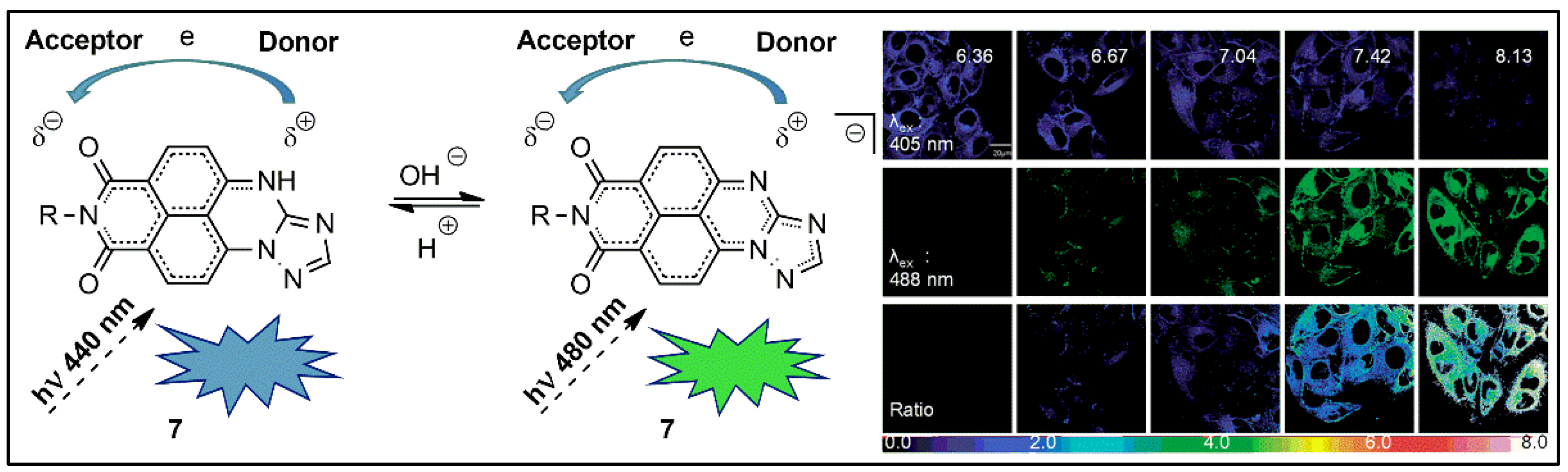 Pharmaceuticals 16 00381 g007