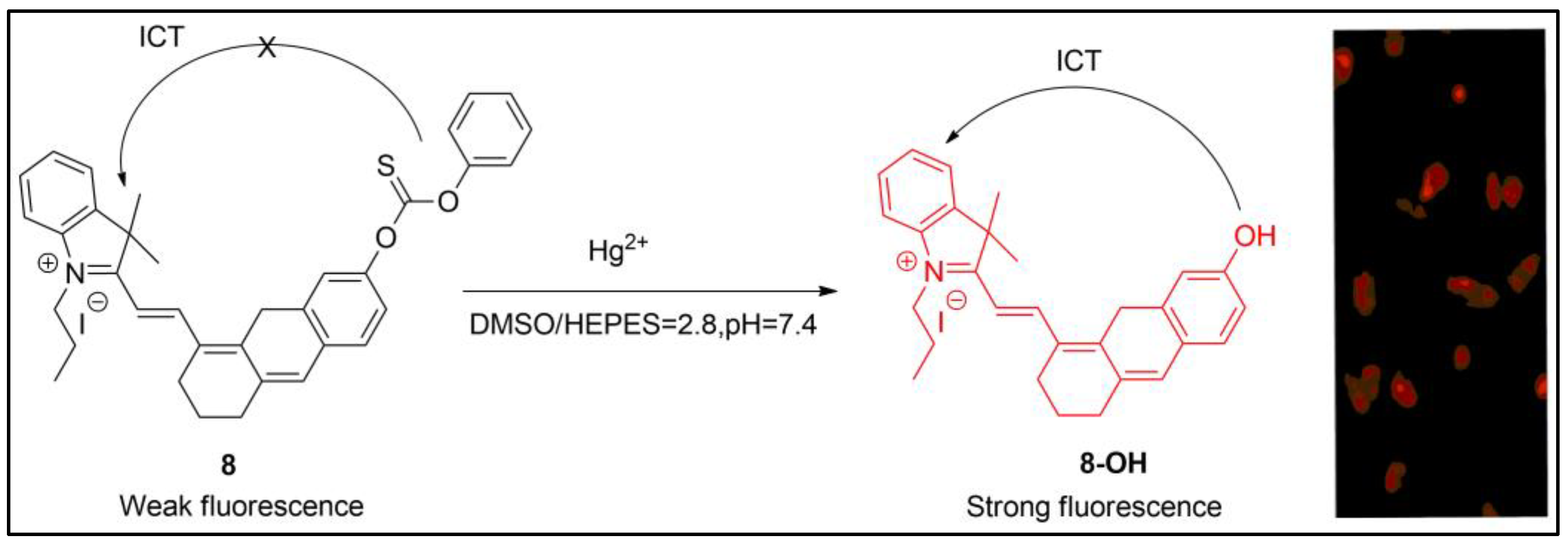 Pharmaceuticals 16 00381 g008