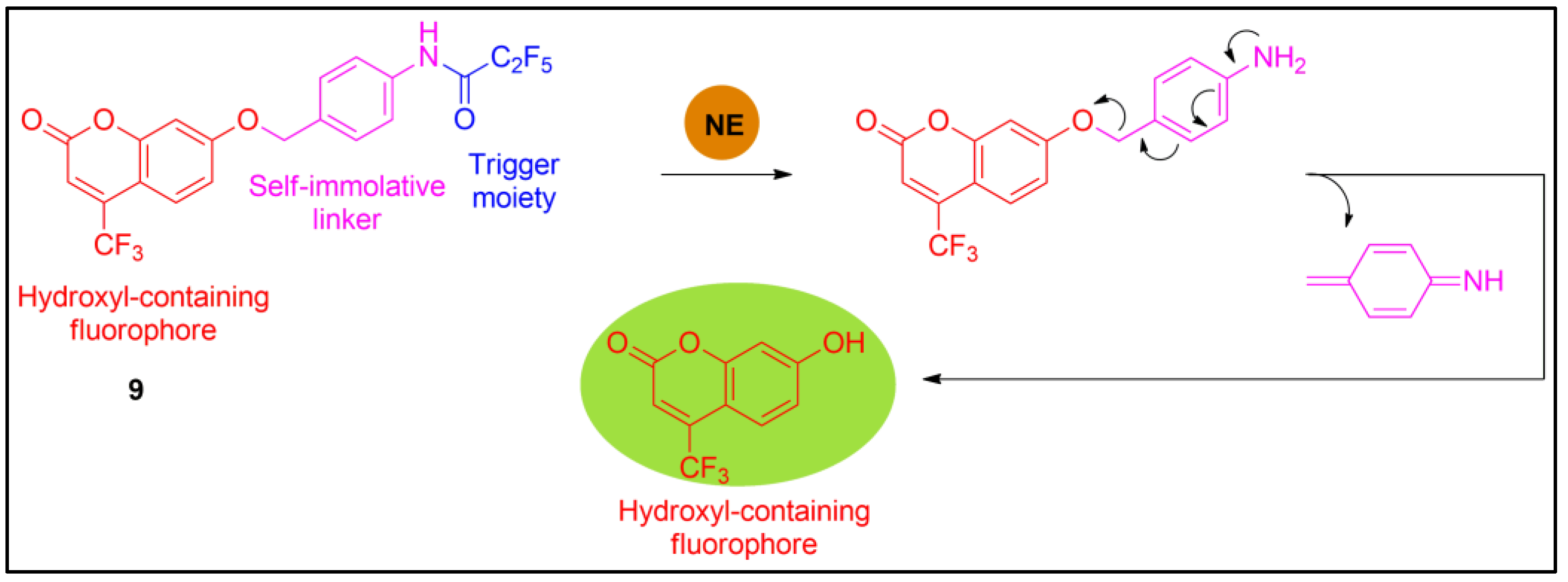 Pharmaceuticals 16 00381 g009