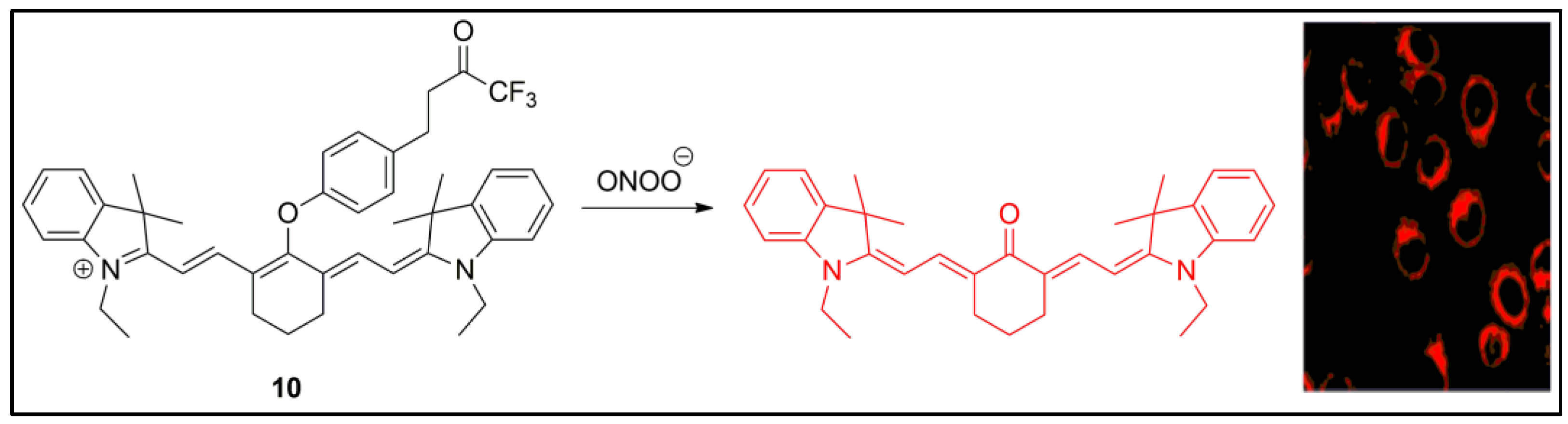 Pharmaceuticals 16 00381 g010