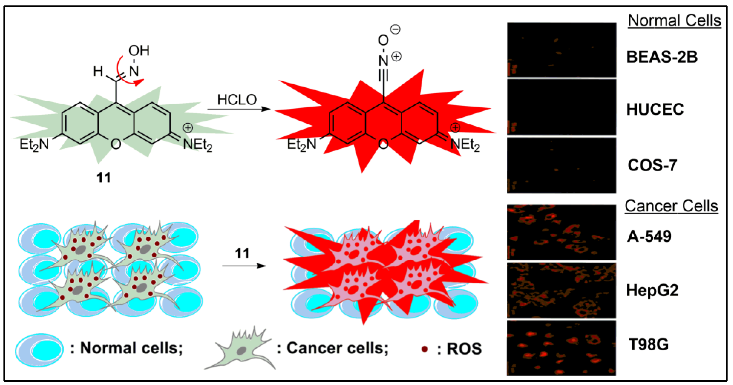 Pharmaceuticals 16 00381 g011
