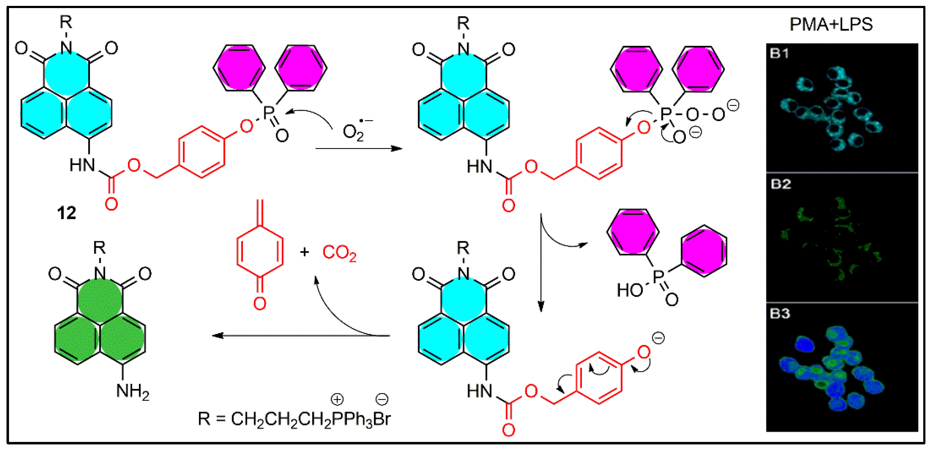 Pharmaceuticals 16 00381 g012