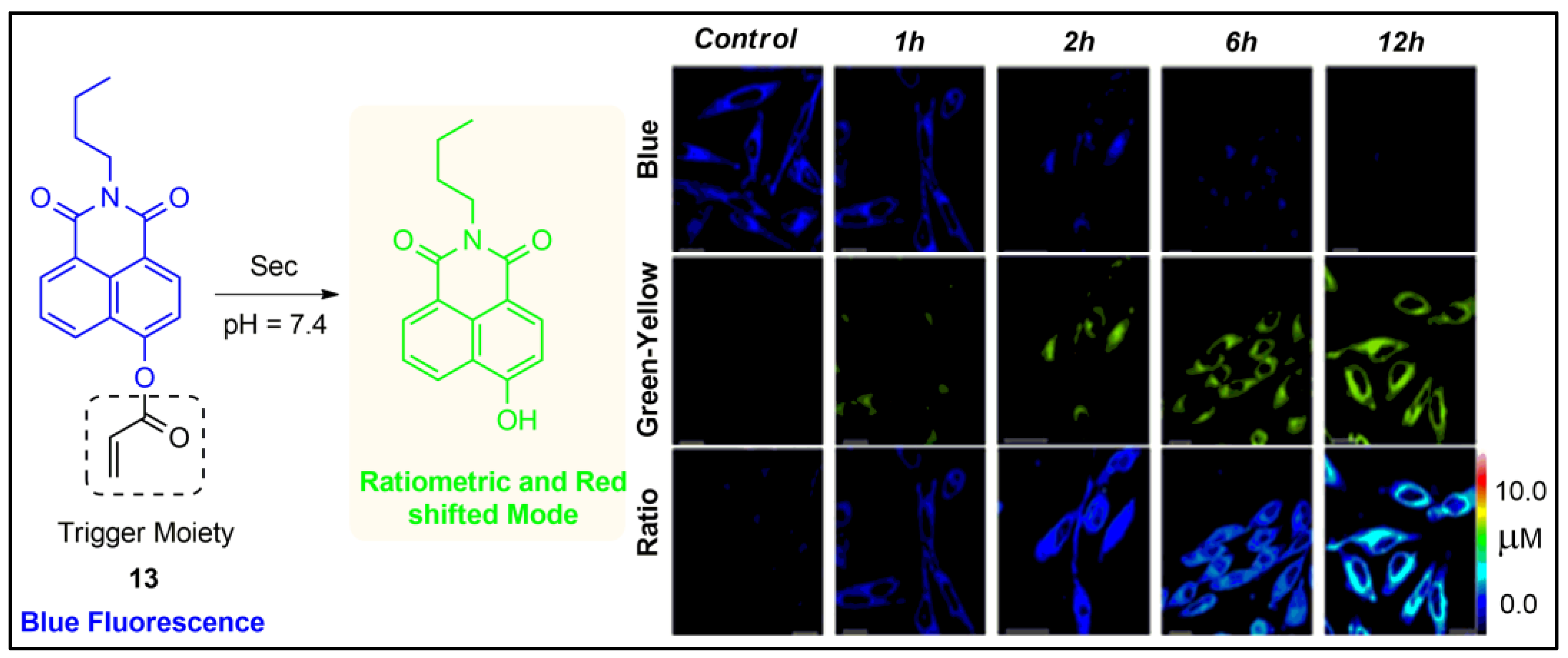 Pharmaceuticals 16 00381 g013