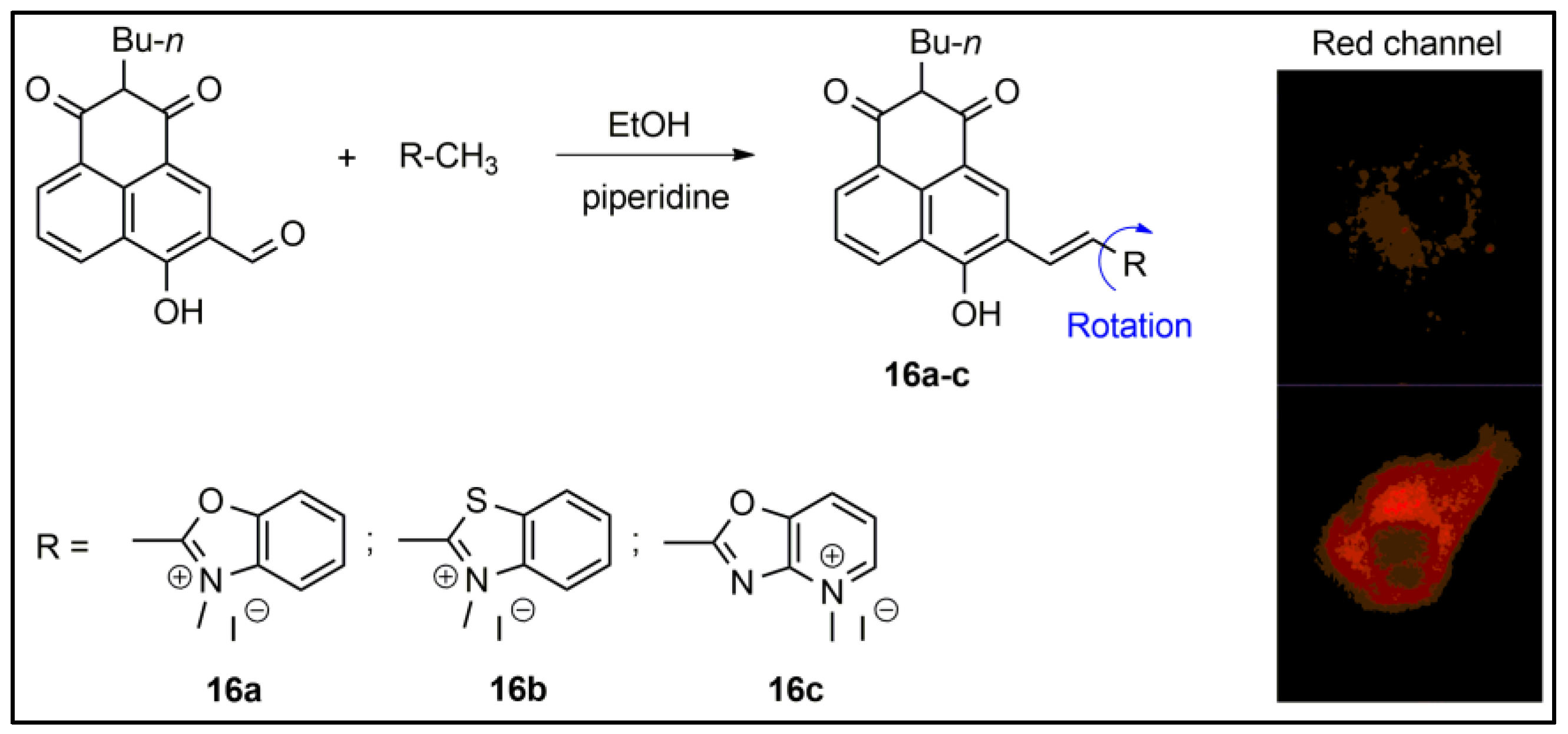 Pharmaceuticals 16 00381 g017