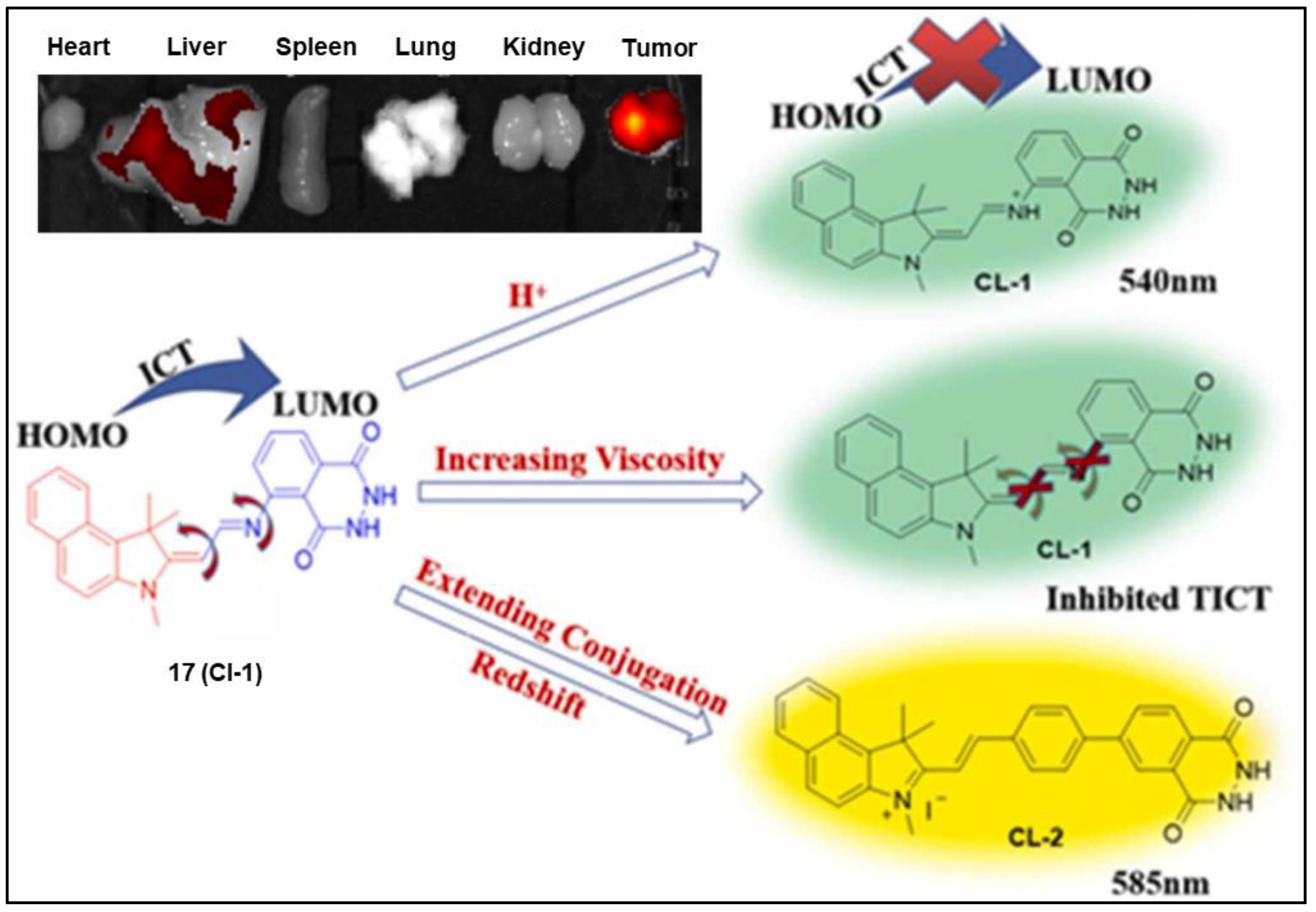 Pharmaceuticals 16 00381 g018