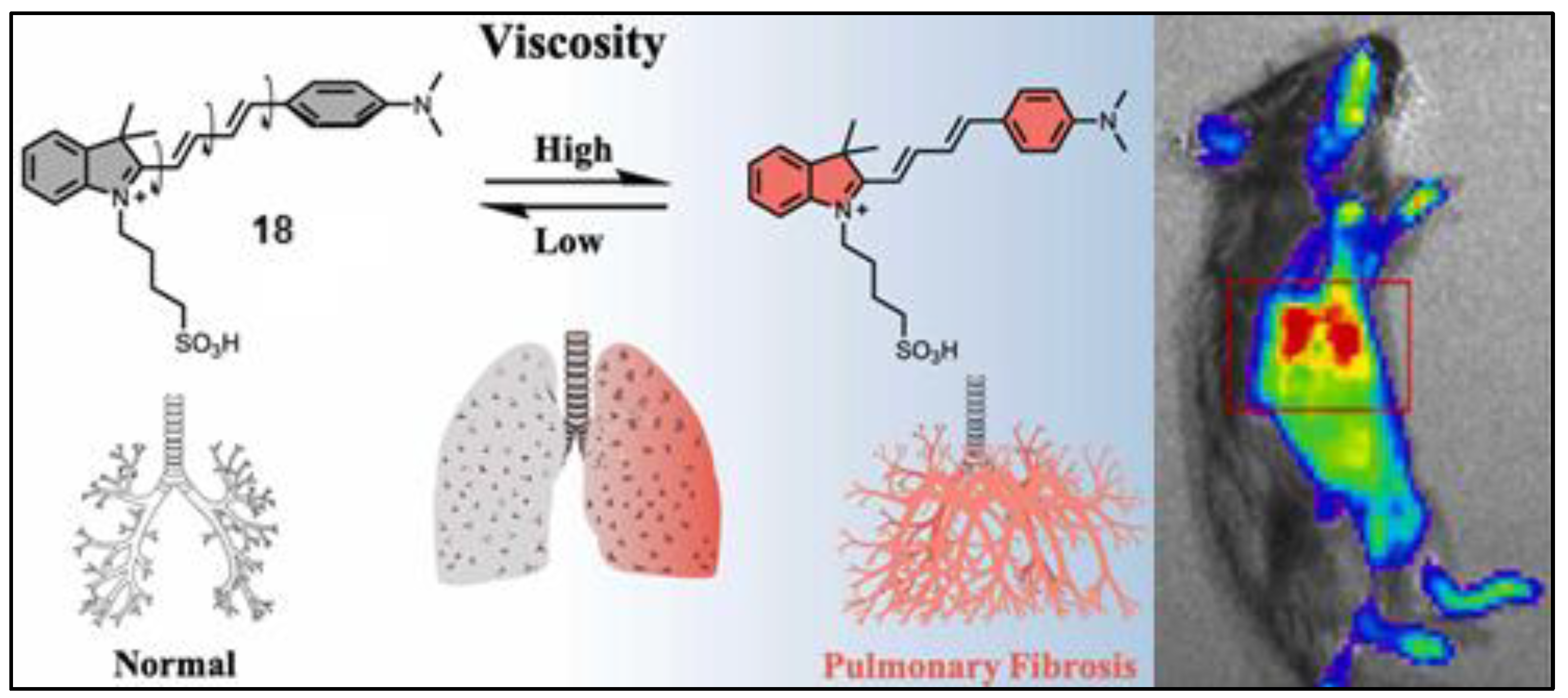 Pharmaceuticals 16 00381 g019