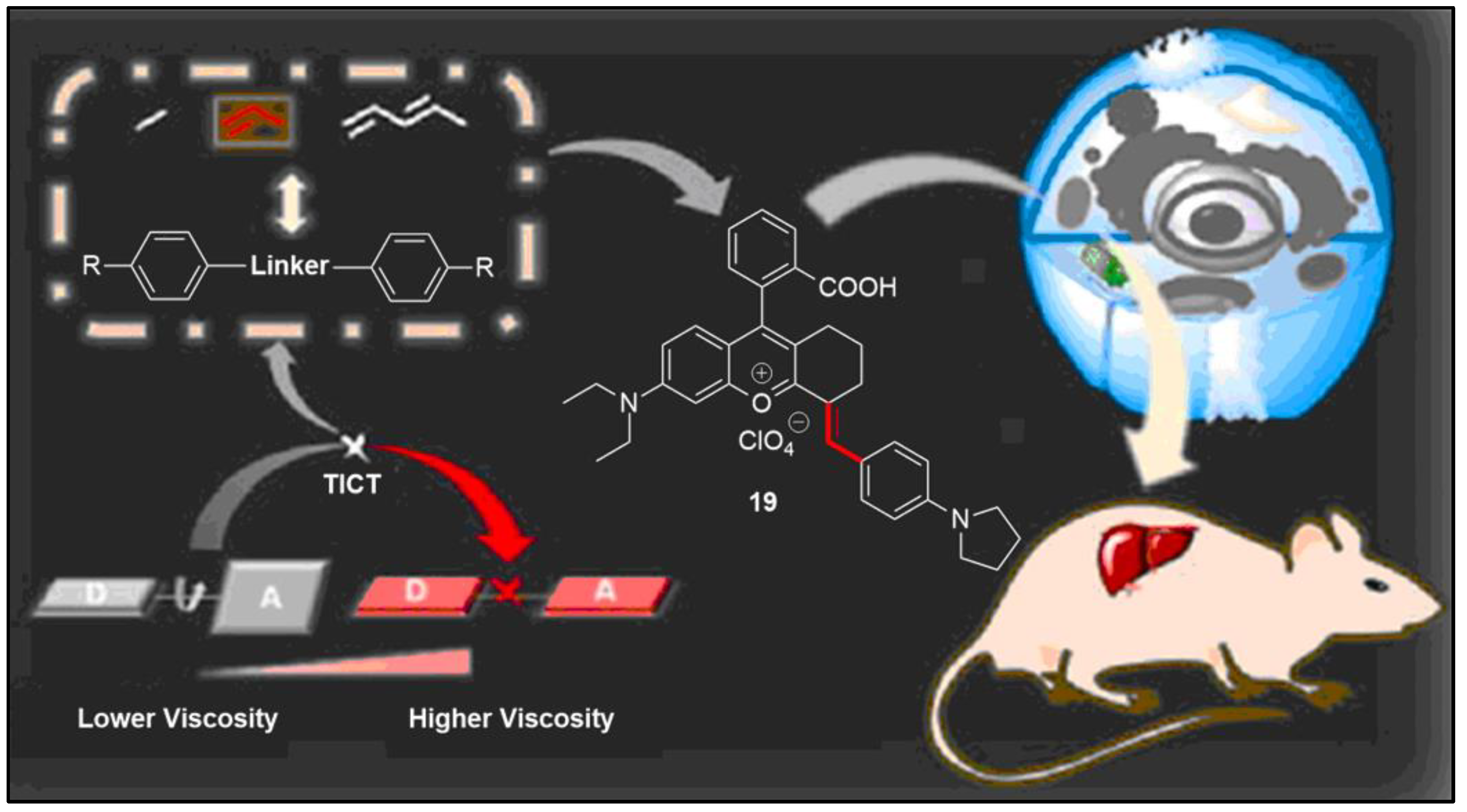 Pharmaceuticals 16 00381 g020