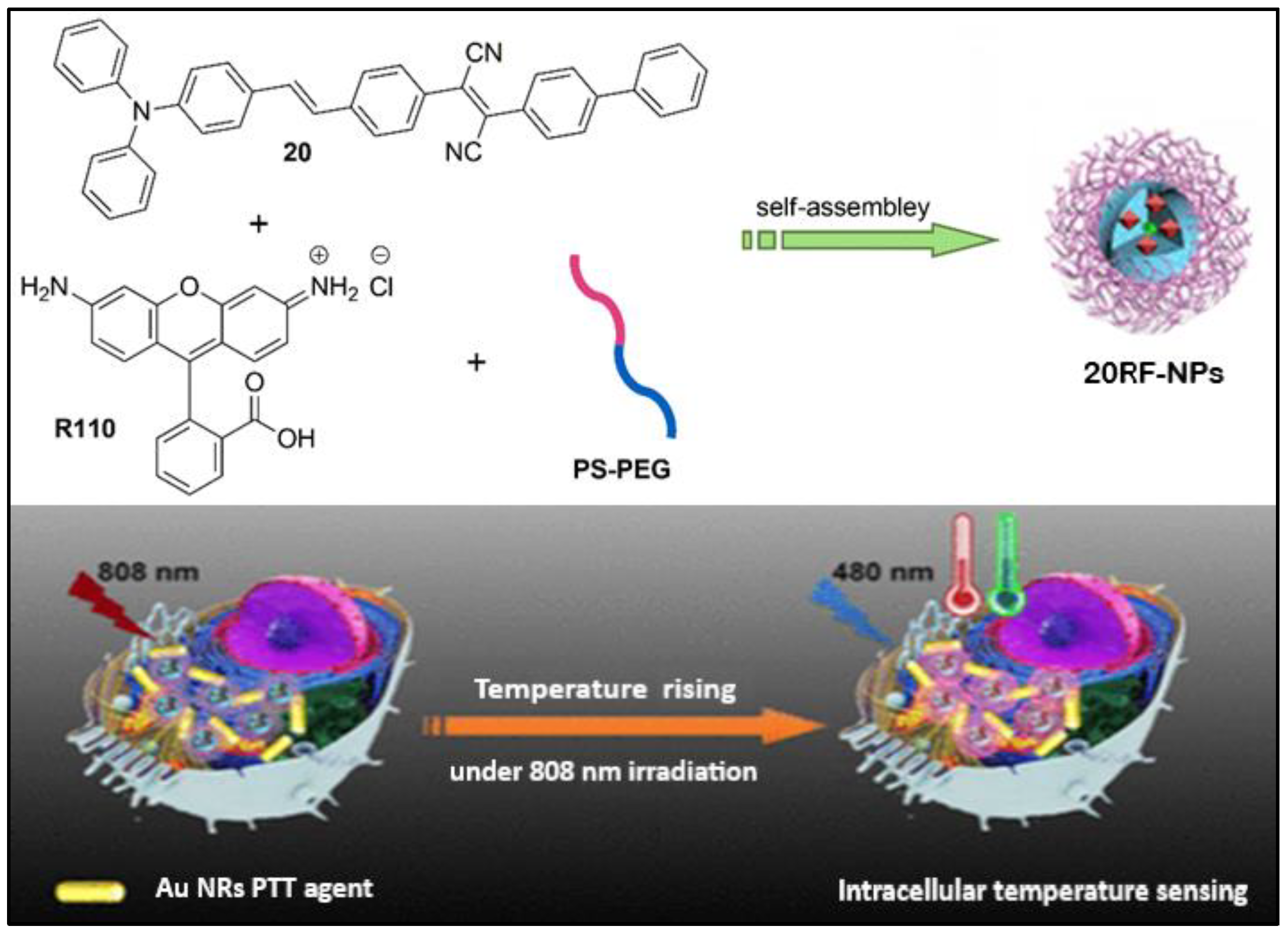 Pharmaceuticals 16 00381 g021