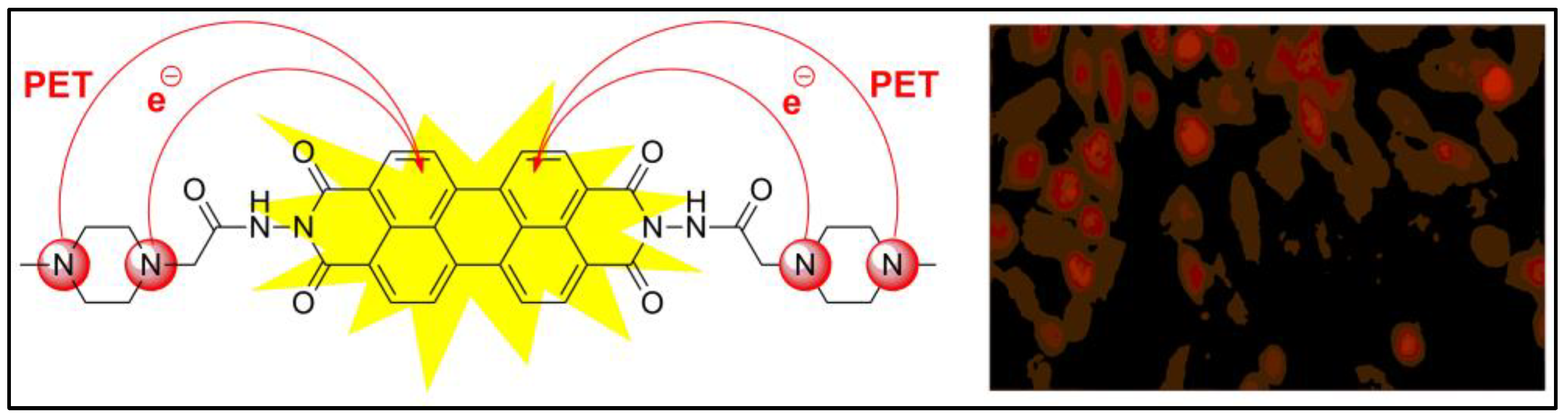 Pharmaceuticals 16 00381 g024