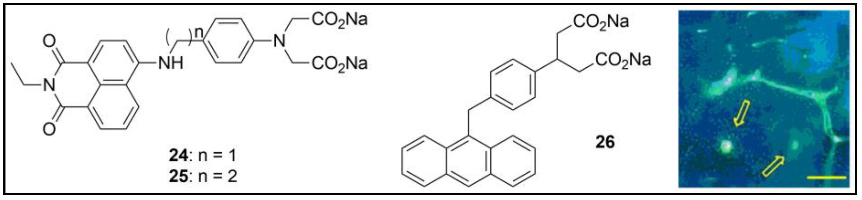 Pharmaceuticals 16 00381 g025
