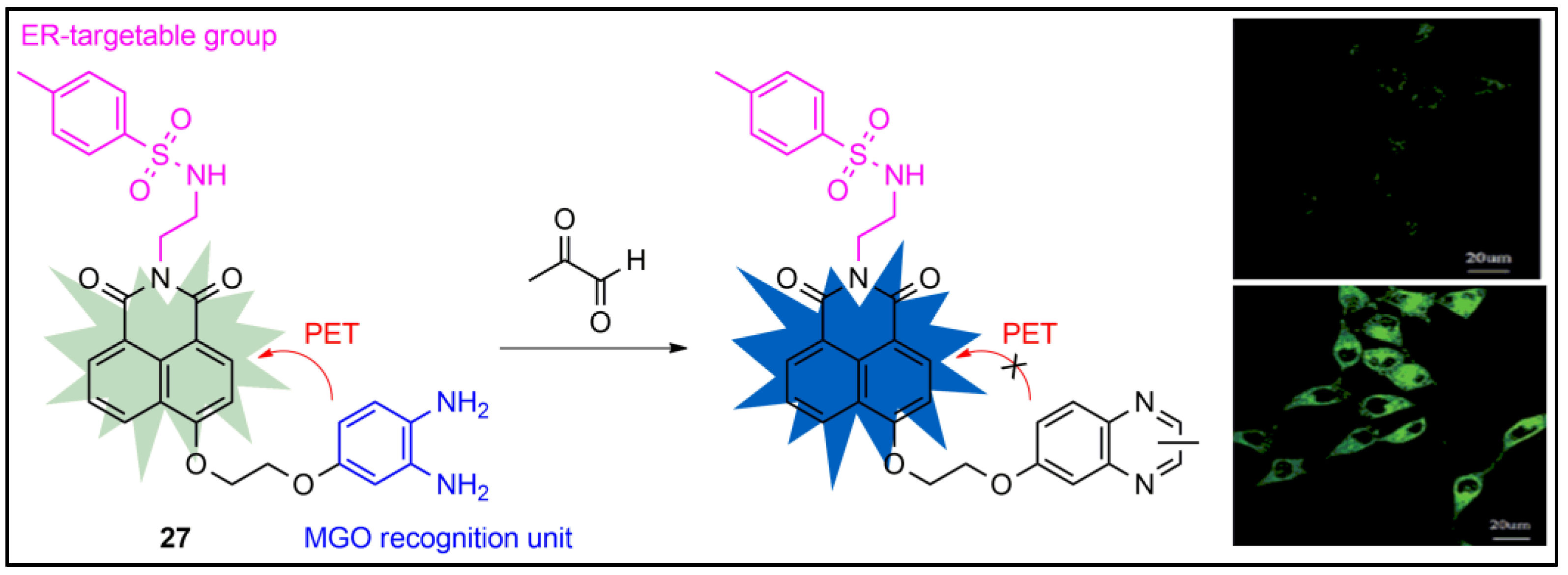 Pharmaceuticals 16 00381 g026