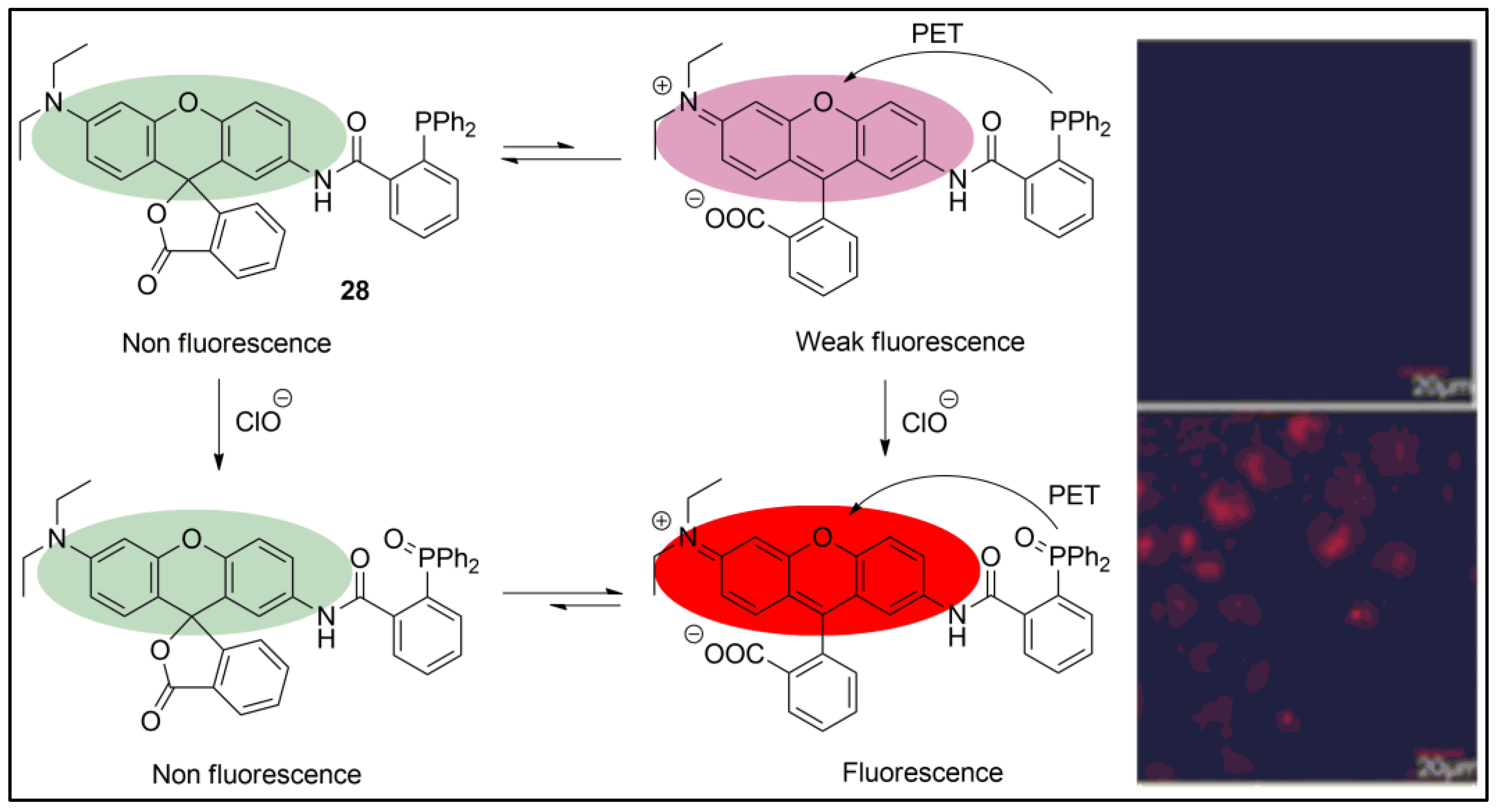 Pharmaceuticals 16 00381 g027