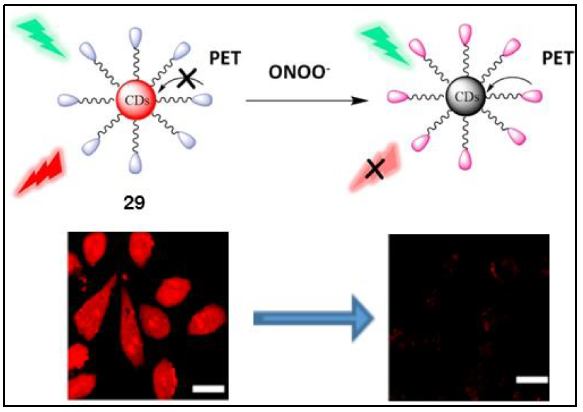 Pharmaceuticals 16 00381 g028
