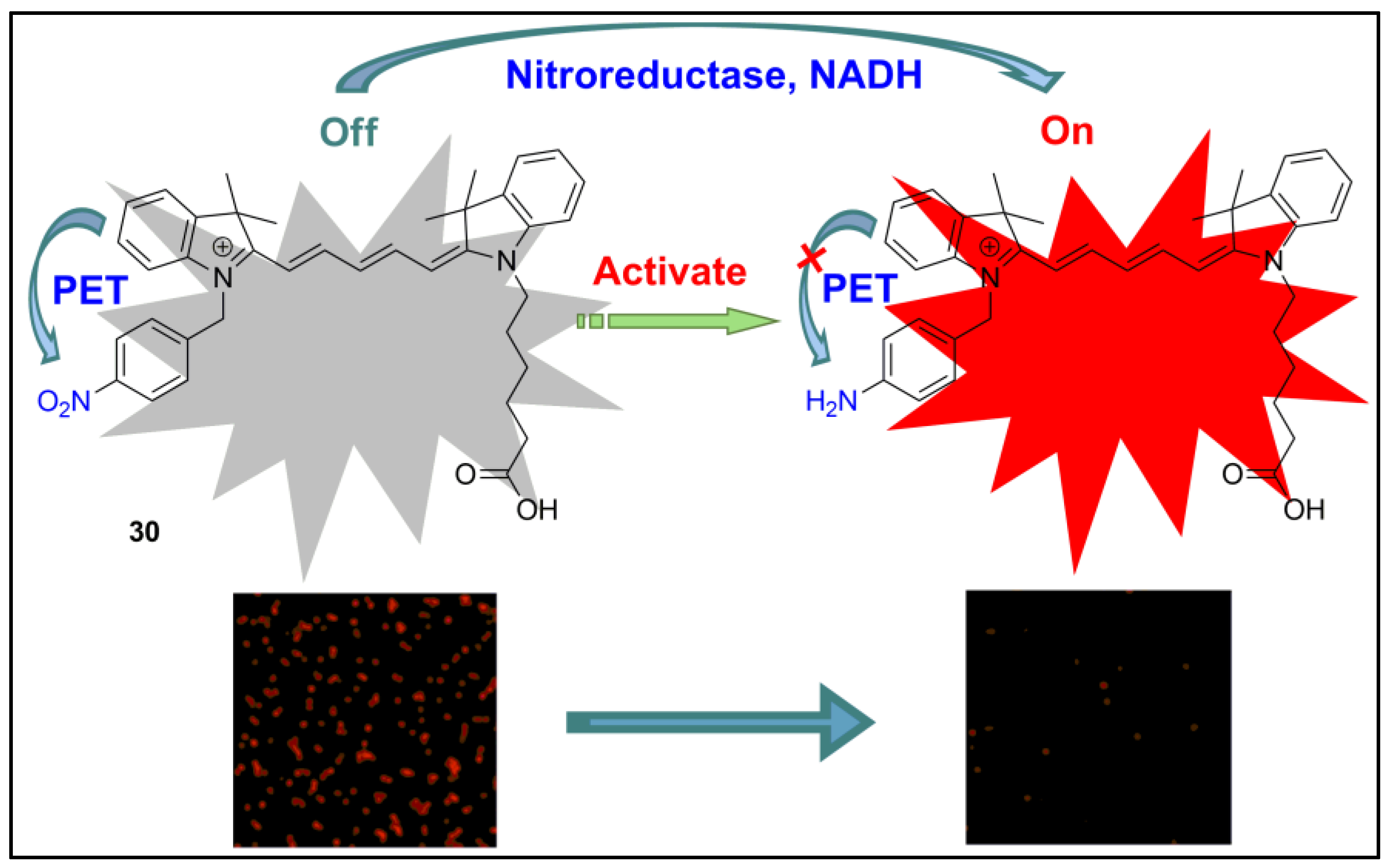 Pharmaceuticals 16 00381 g029