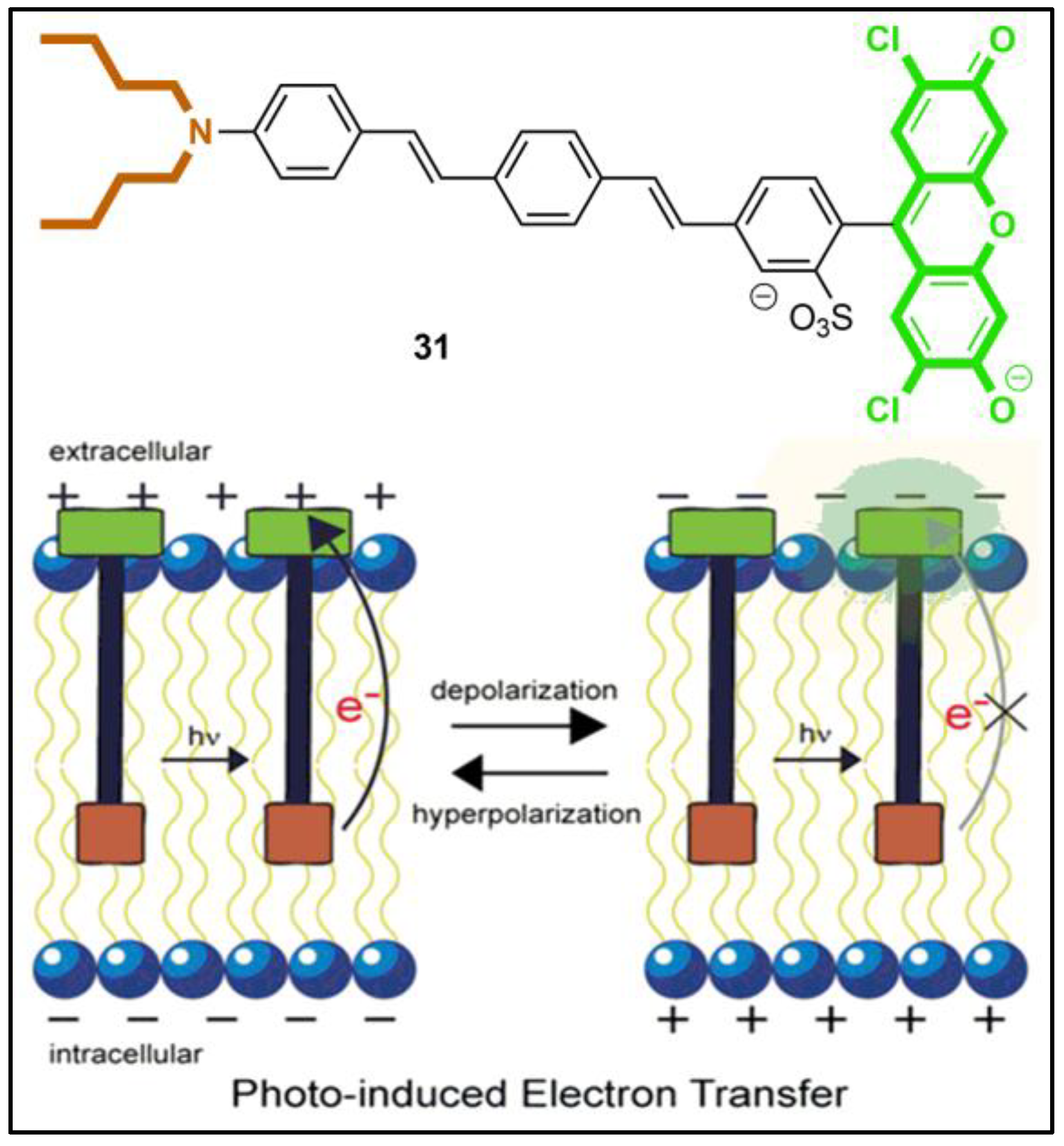Pharmaceuticals 16 00381 g030