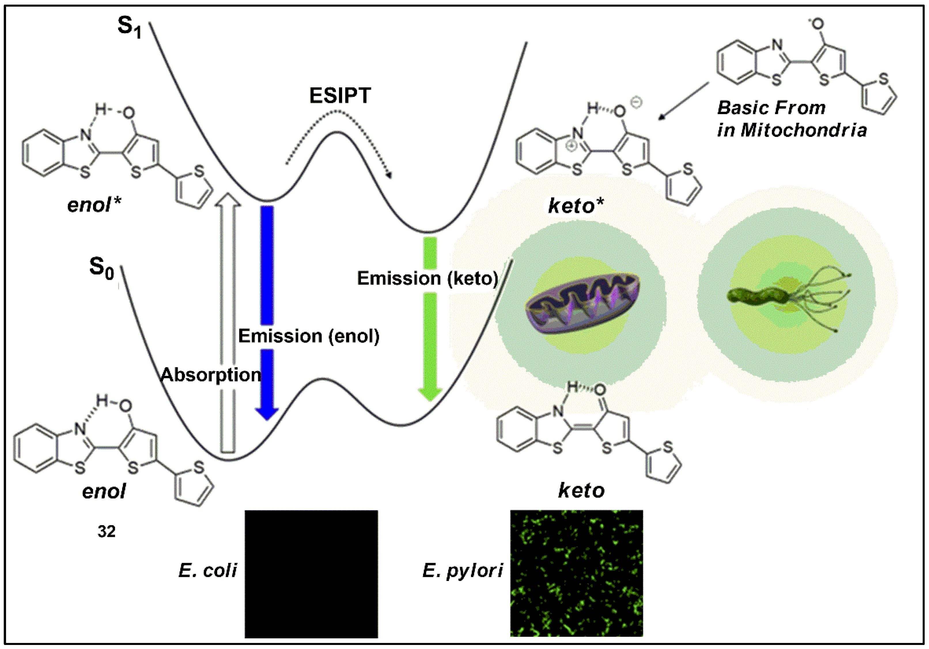 Pharmaceuticals 16 00381 g032